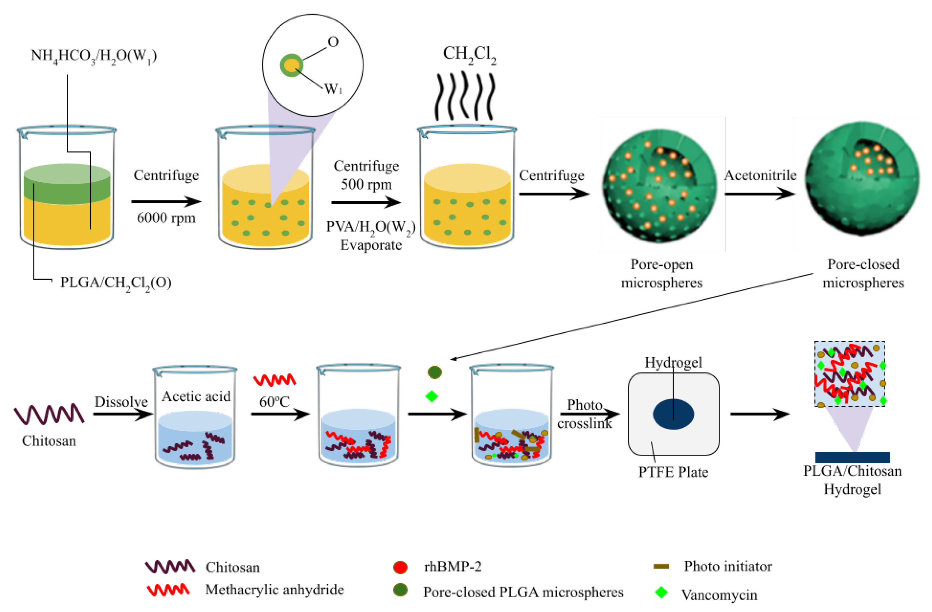 Pharmaceutics 16 00976 g003
