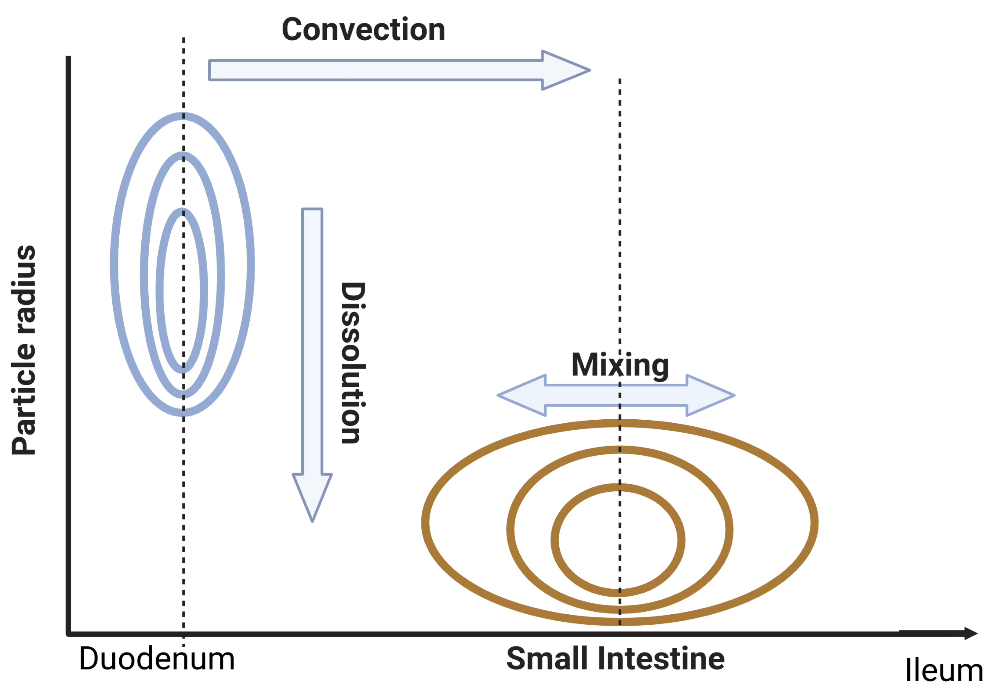 Pharmaceutics 16 00978 g0a3