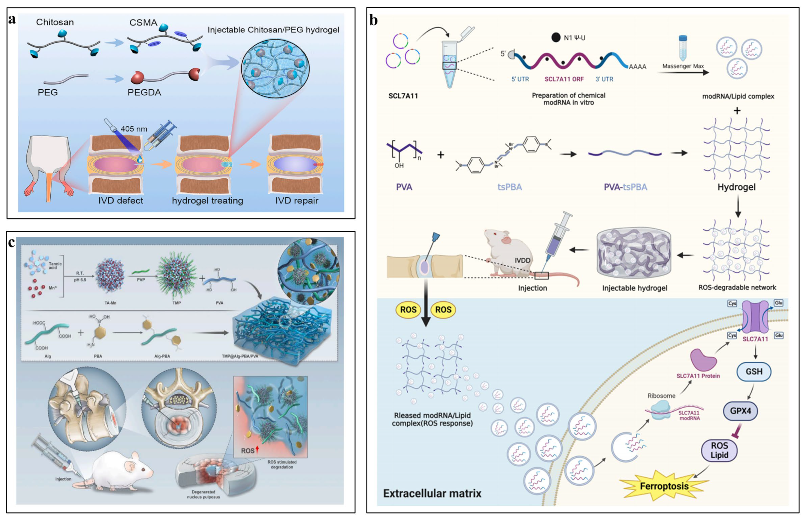 Pharmaceutics 16 00979 g003