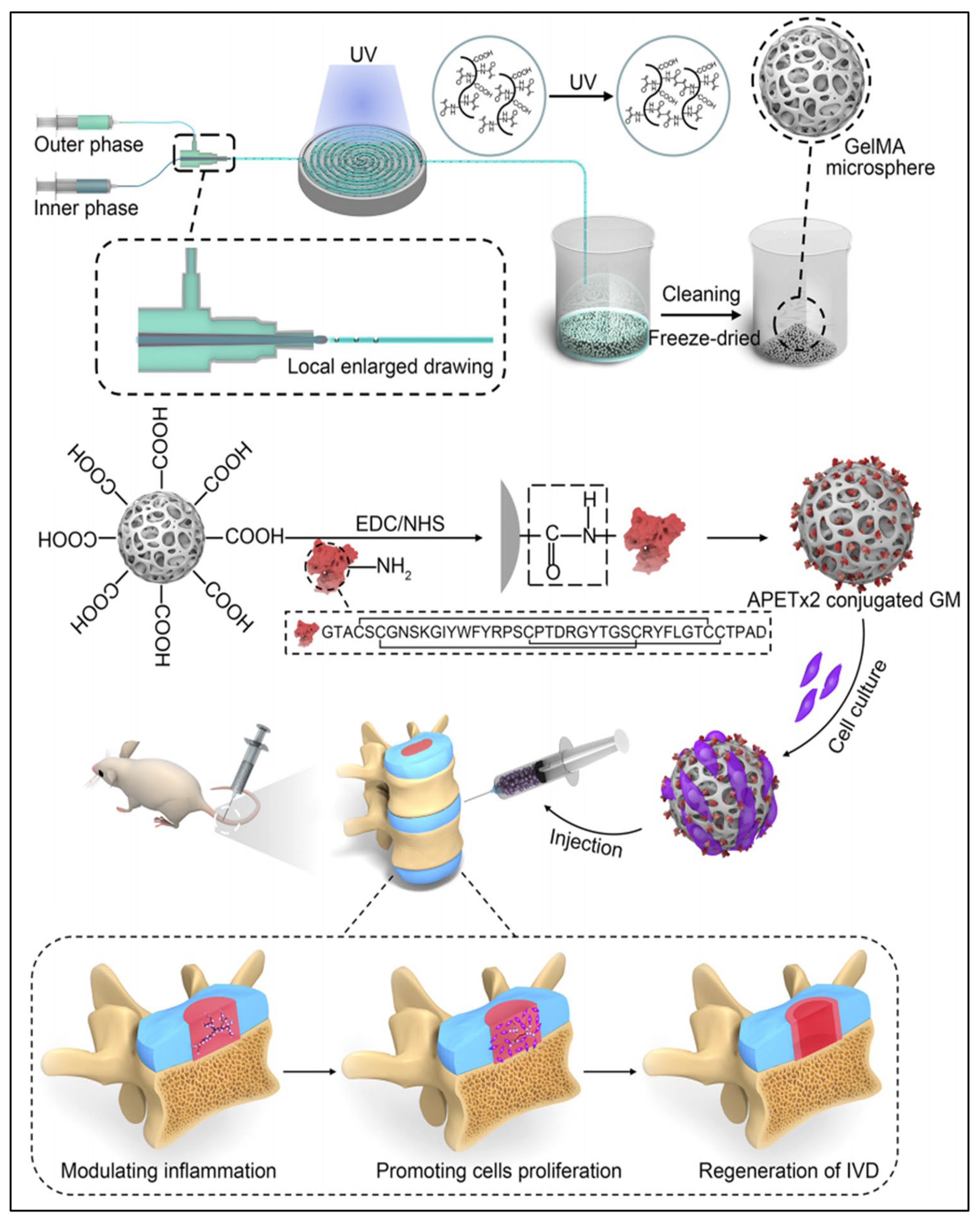 Pharmaceutics 16 00979 g004