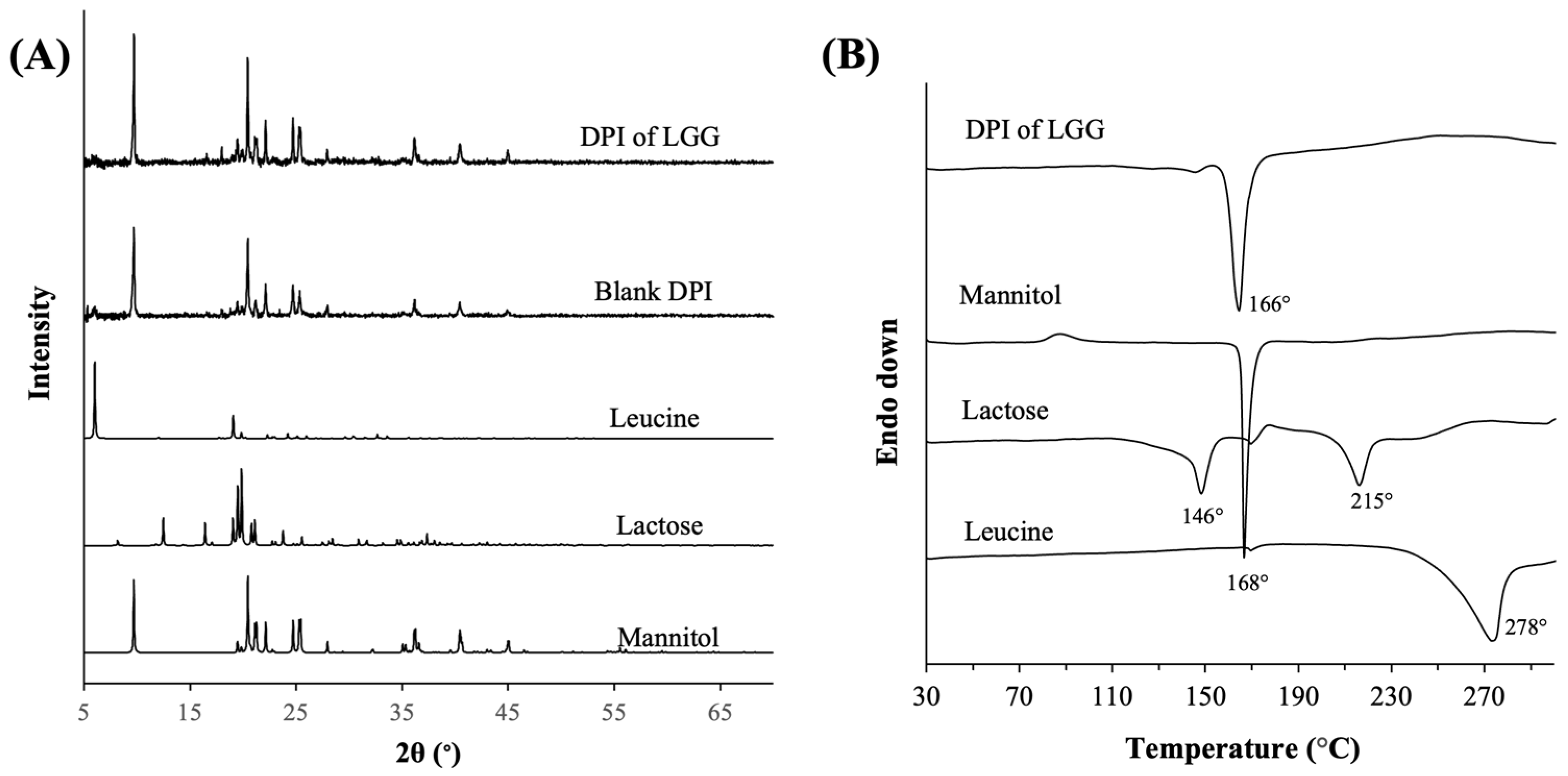 Pharmaceutics 16 00980 g002