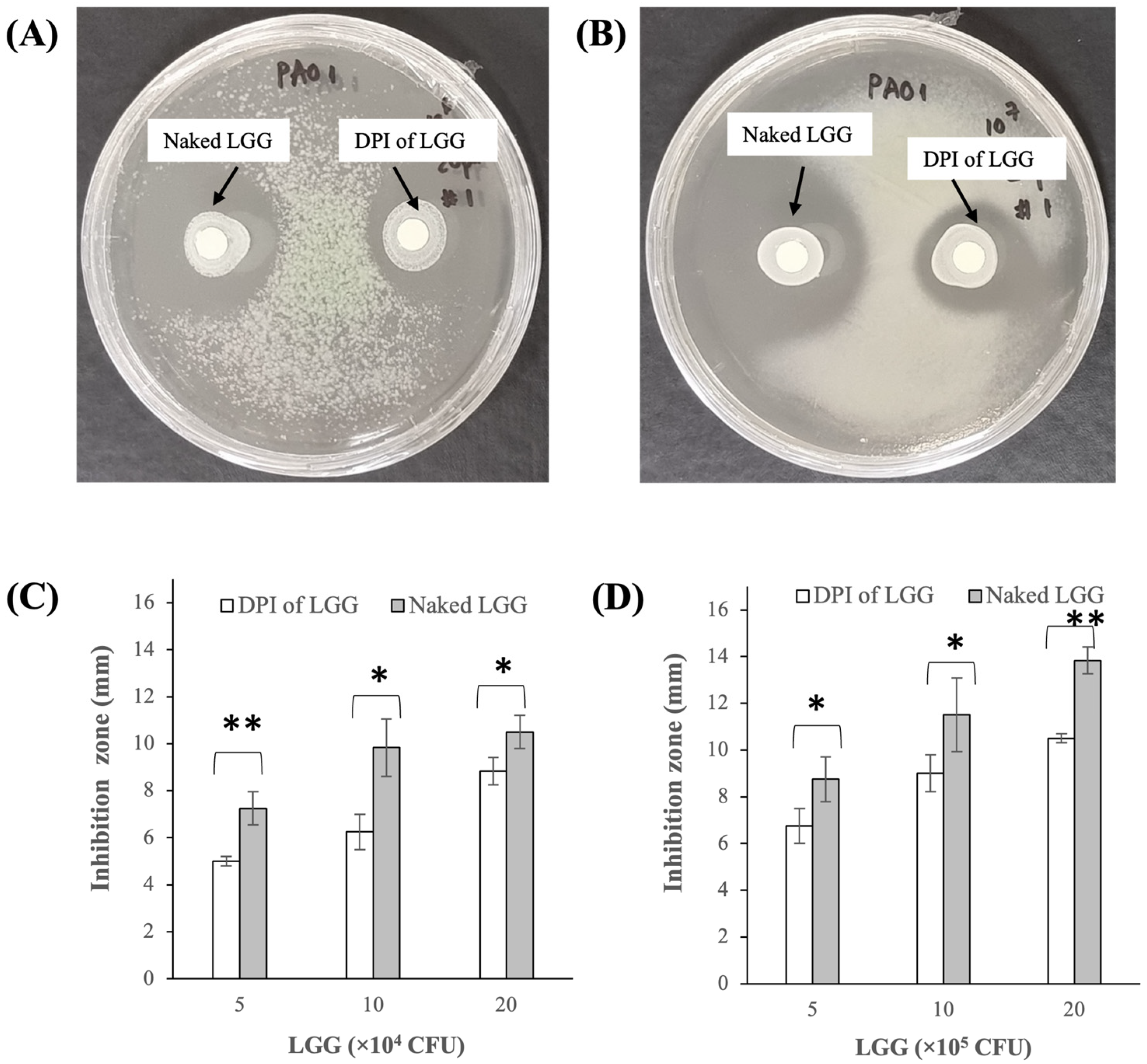 Pharmaceutics 16 00980 g005