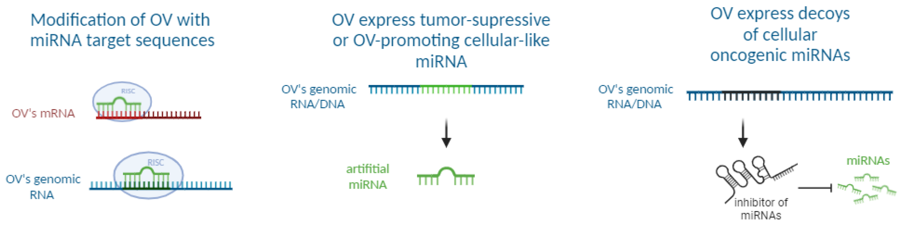Pharmaceutics 16 00986 g001