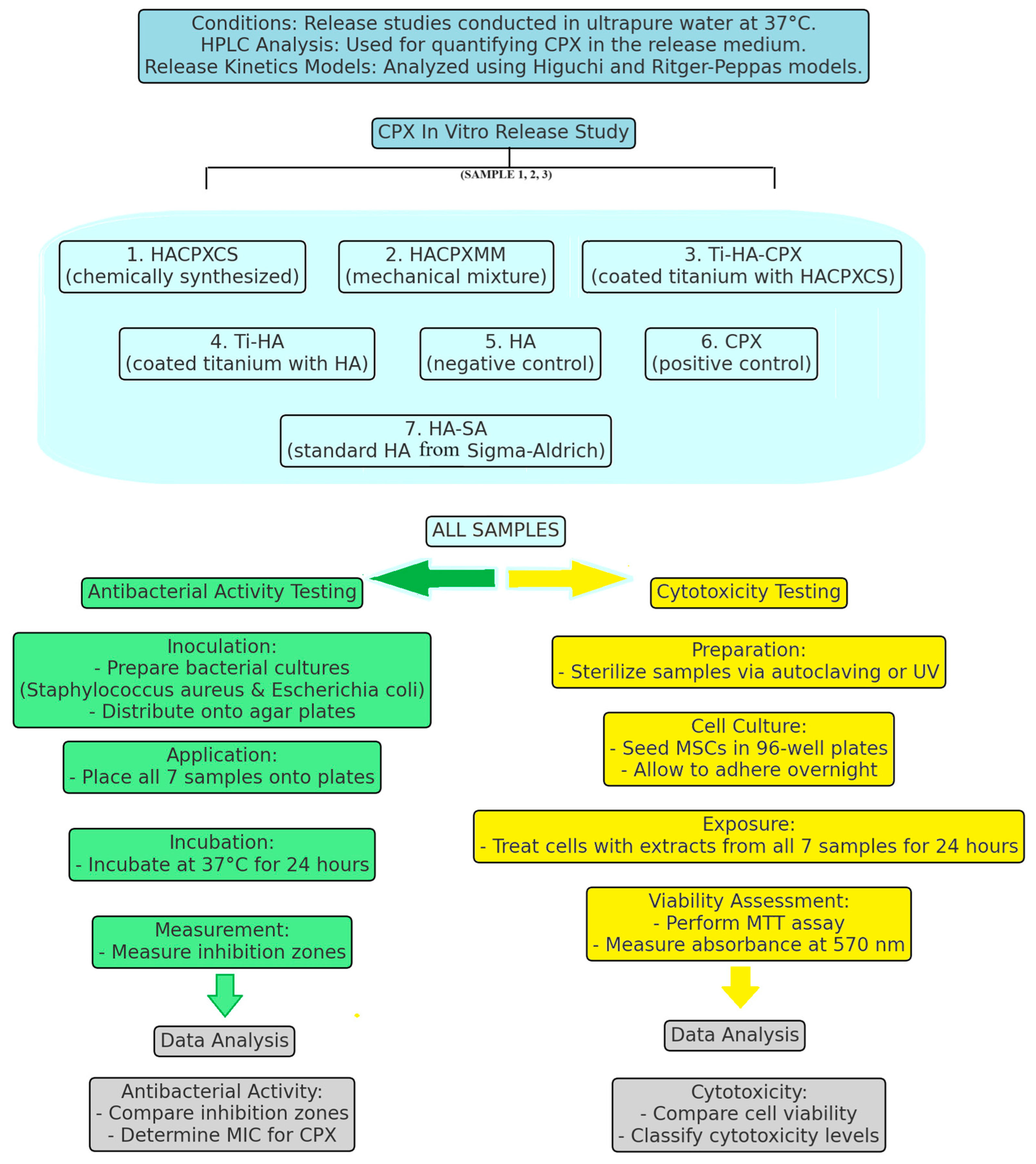 Pharmaceutics 16 00998 g003