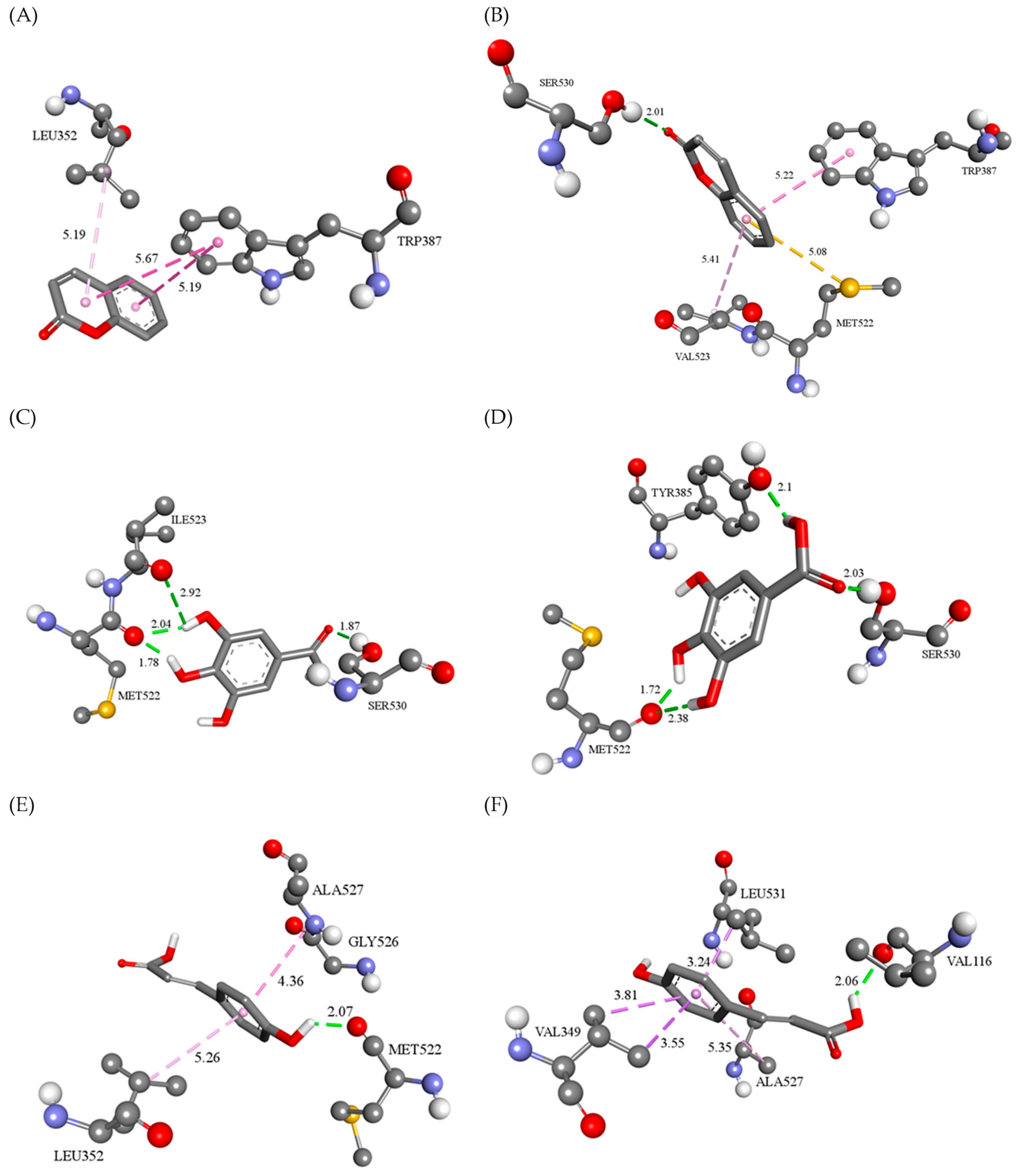 Pharmaceutics 16 01003 g007
