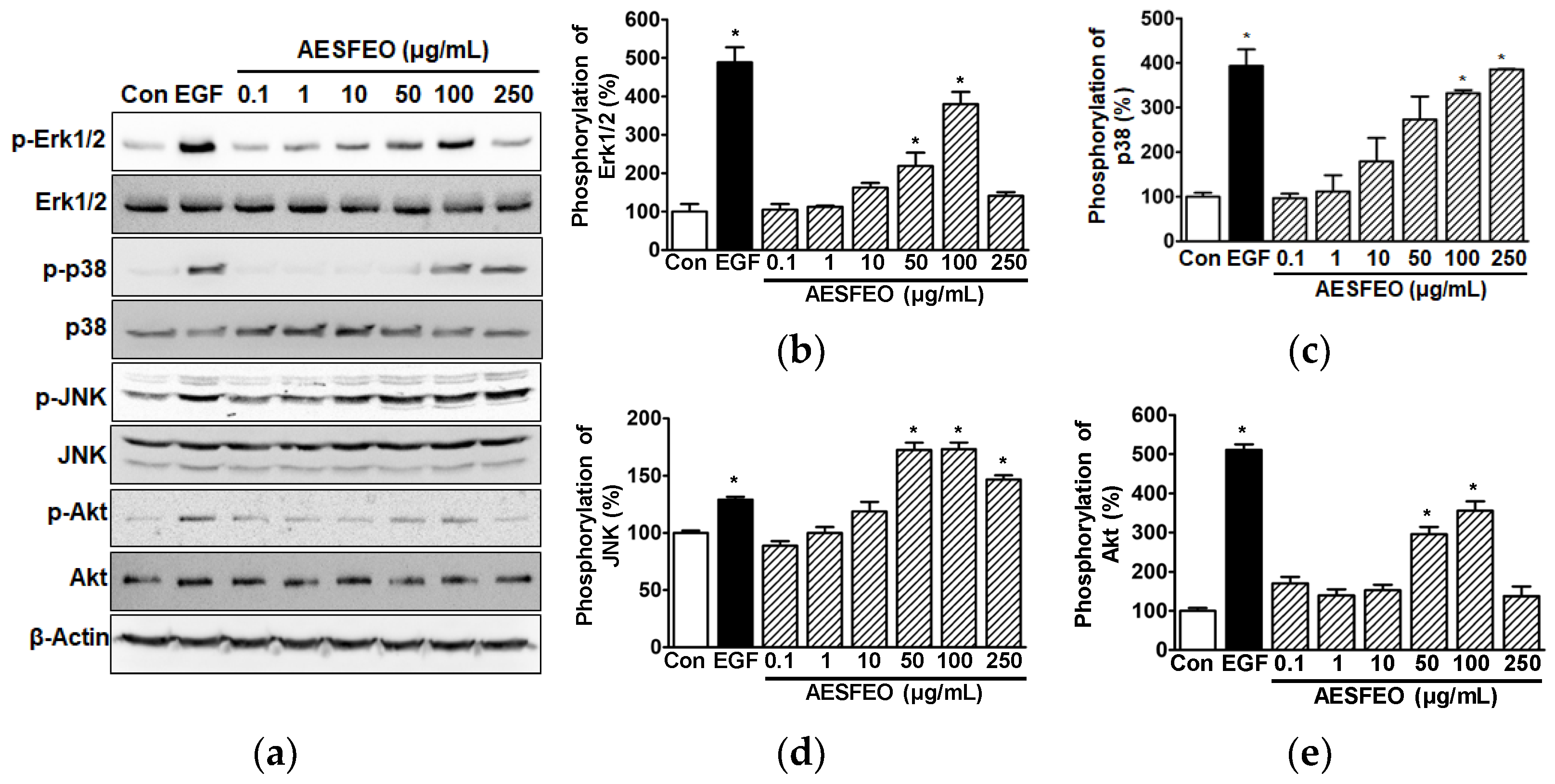 Pharmaceutics 16 01008 g003