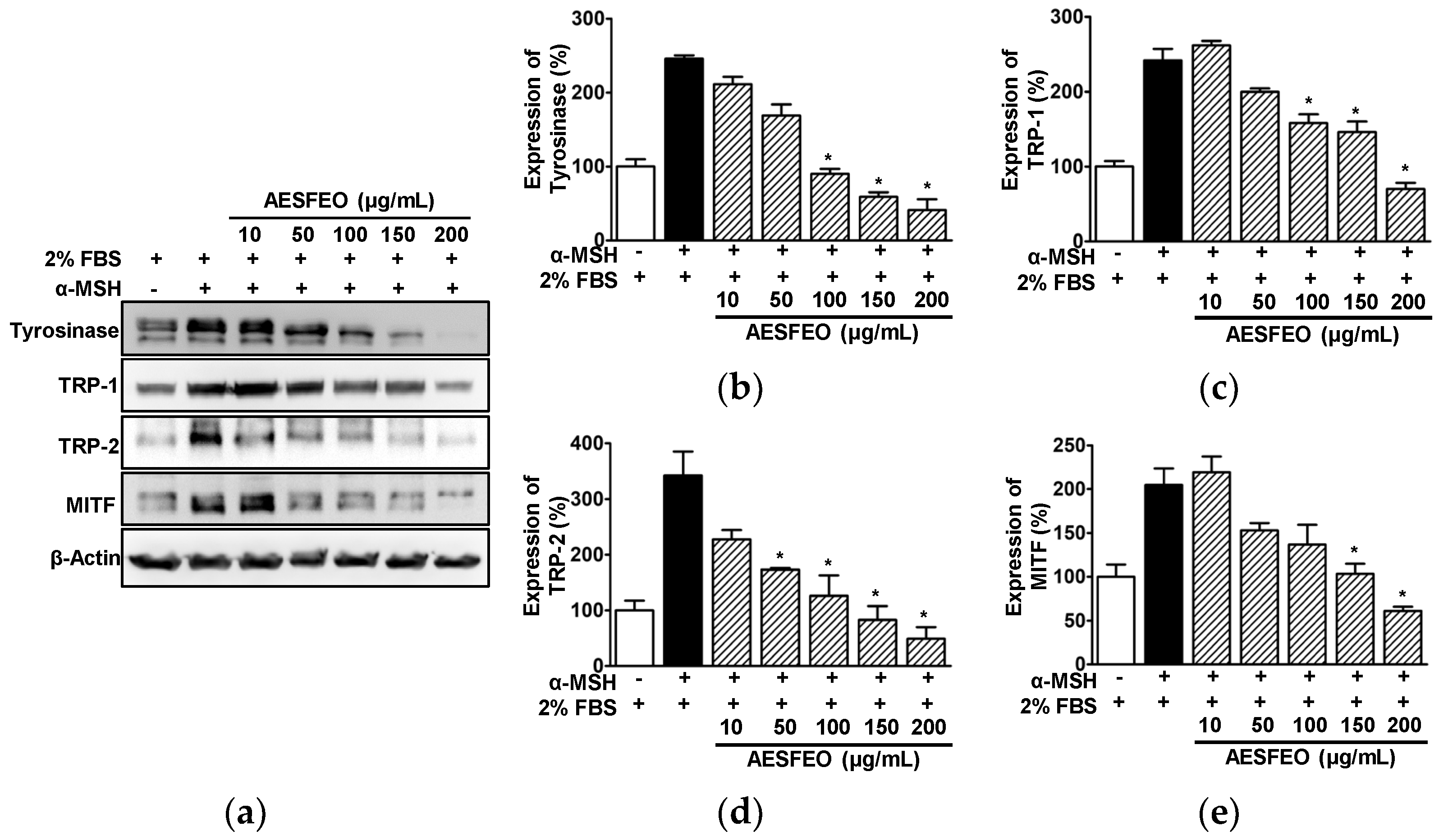 Pharmaceutics 16 01008 g005