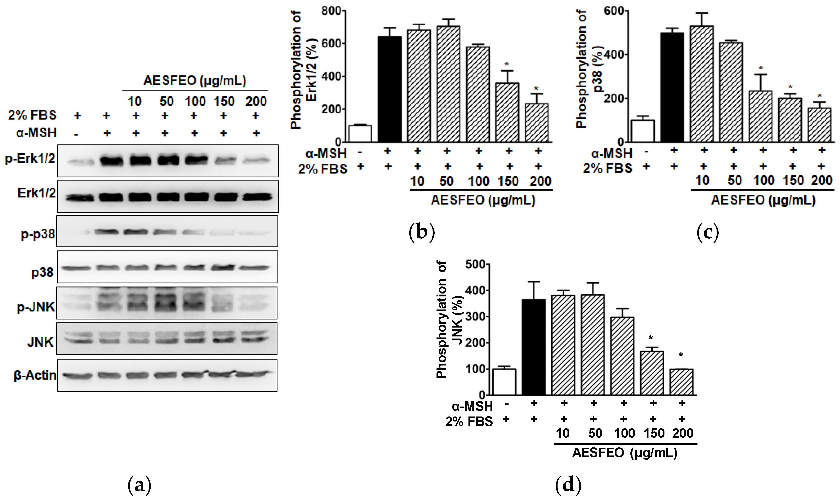 Pharmaceutics 16 01008 g006