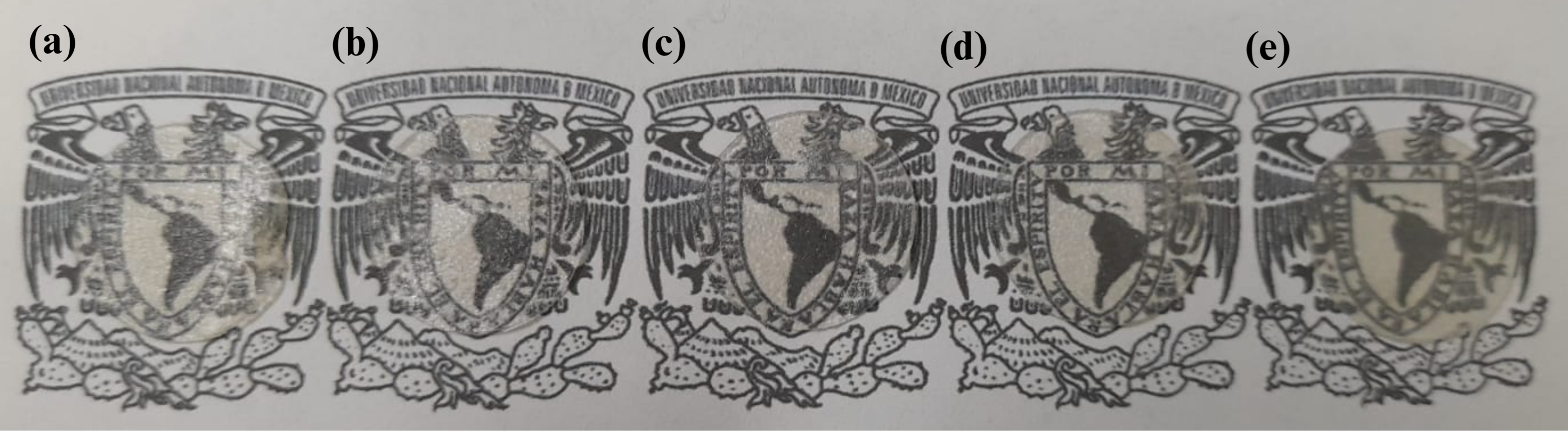 Pharmaceutics 16 01012 g001