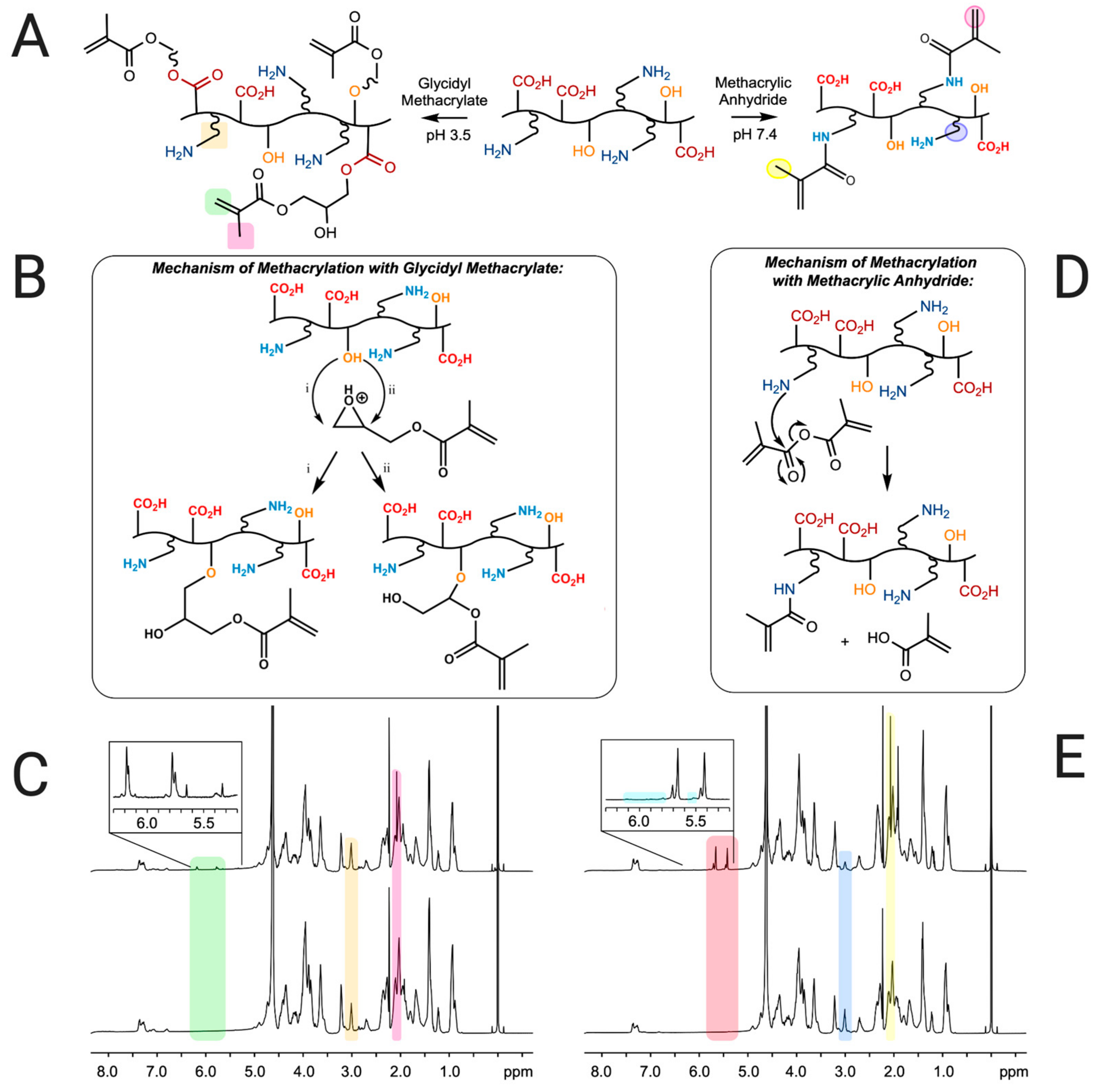 Pharmaceutics 16 01016 g002