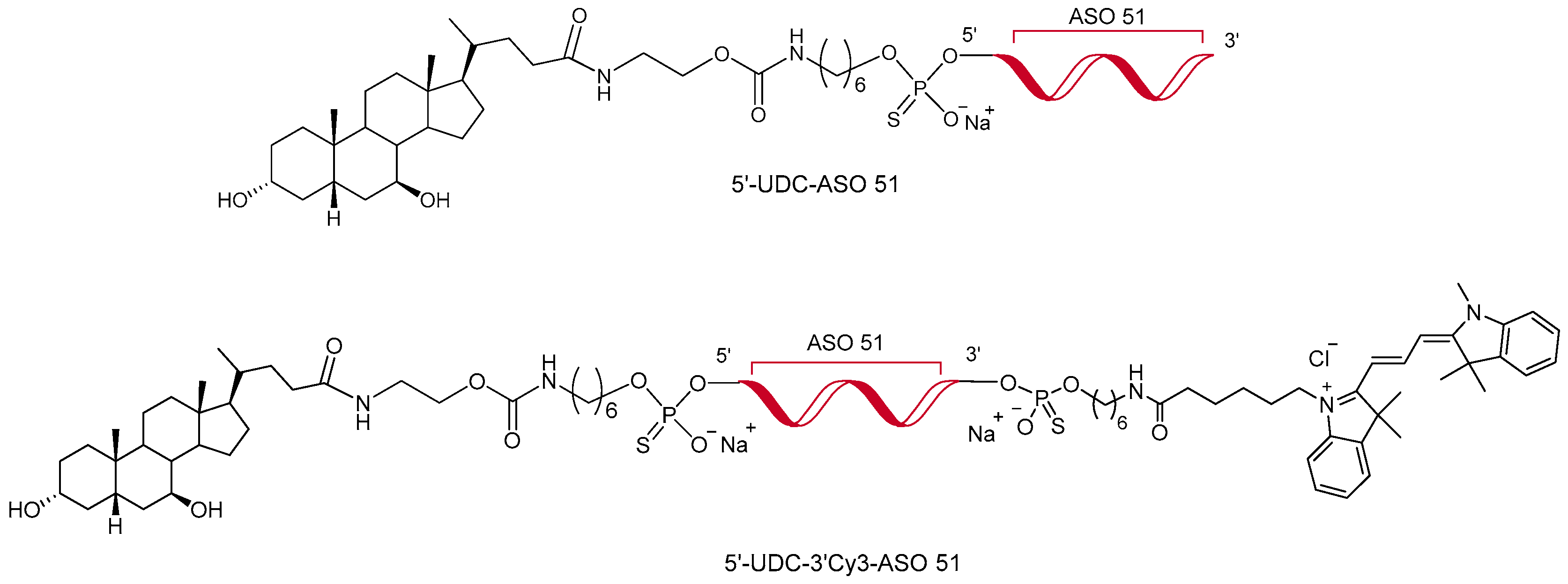 Pharmaceutics 16 01023 g001