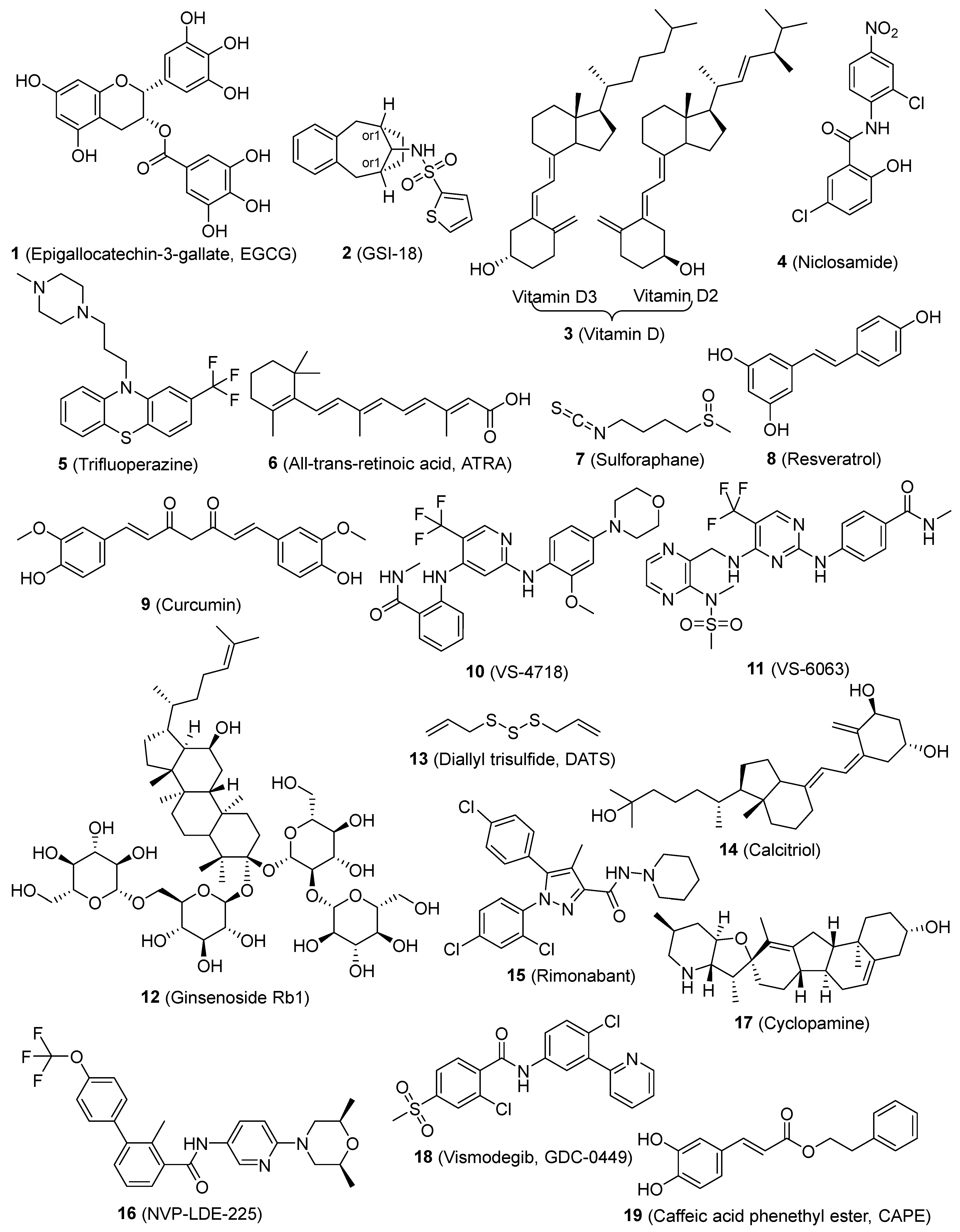 Pharmaceutics 16 01024 g002