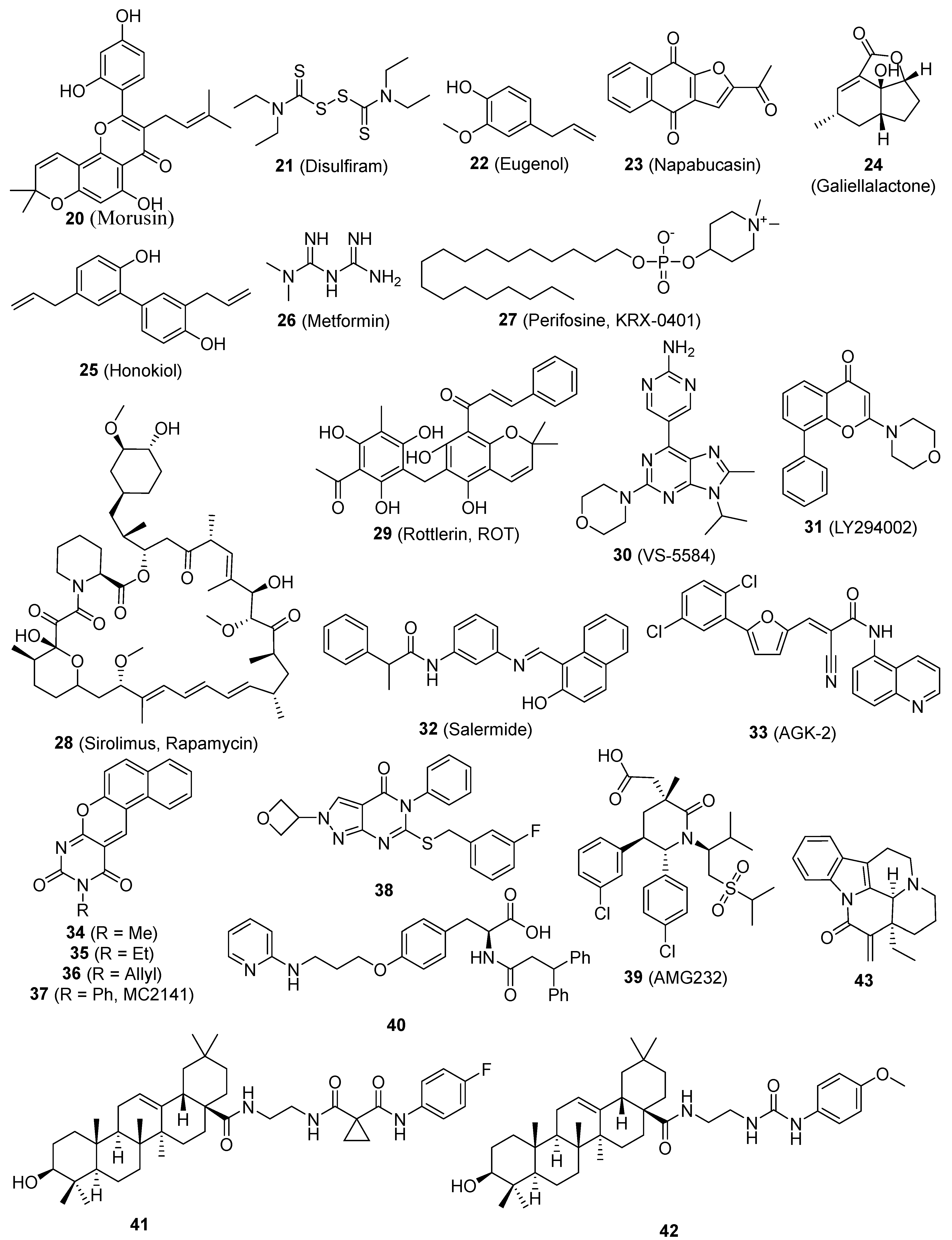 Pharmaceutics 16 01024 g003