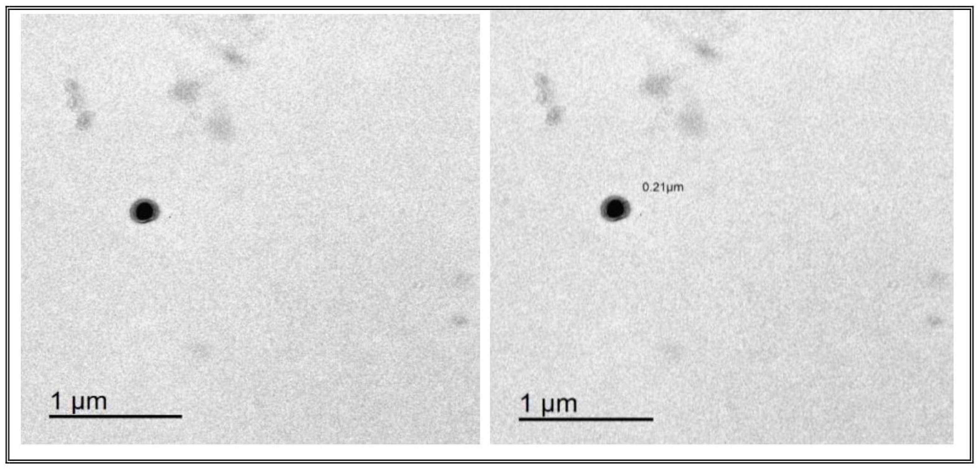 Pharmaceutics 16 01026 g006