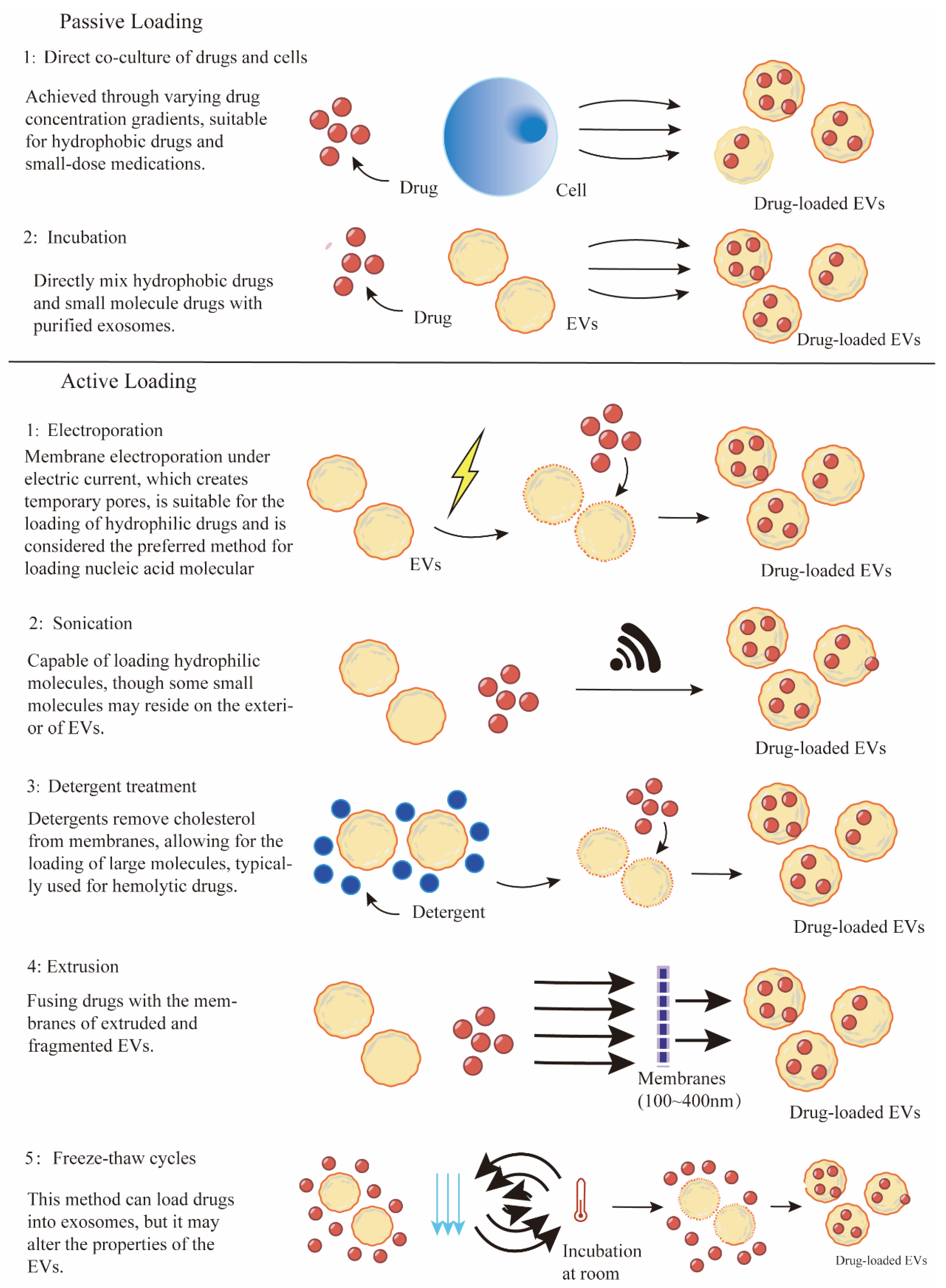 Pharmaceutics 16 01029 g002