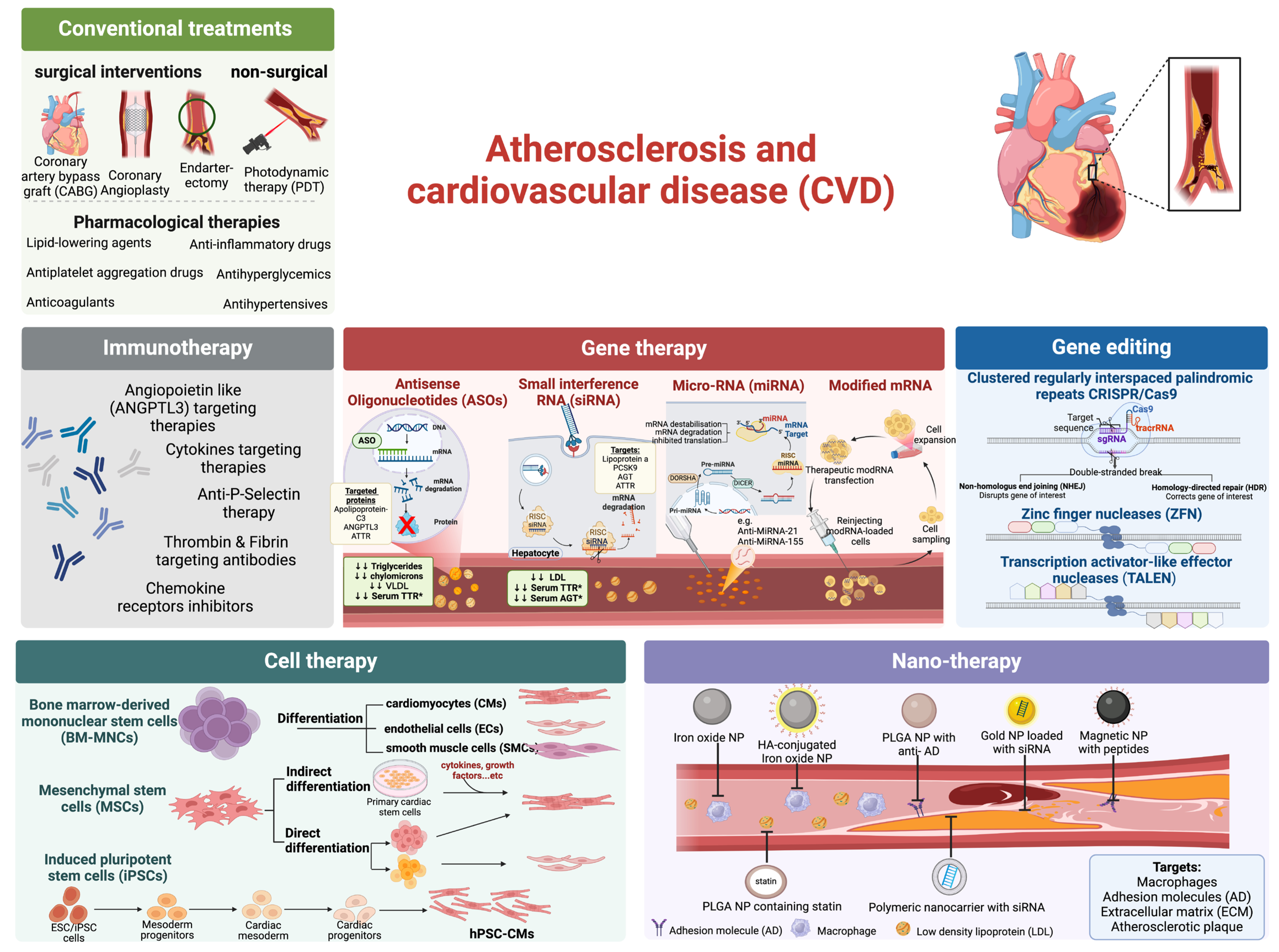 Pharmaceutics 16 01037 g002 Pharmaceutics 16 01037 g002