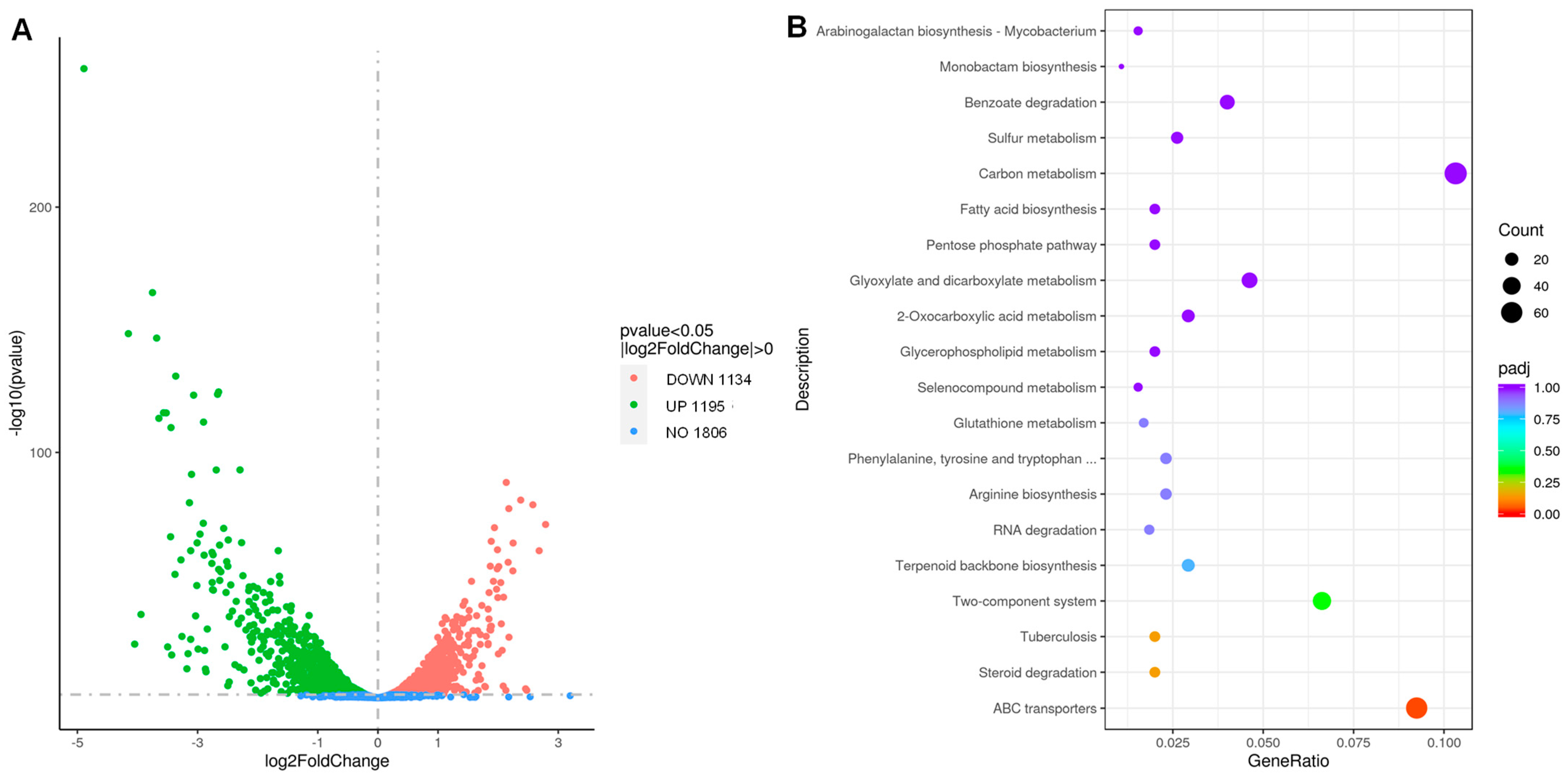 Pharmaceutics 16 01049 g004 Pharmaceutics 16 01049 g004