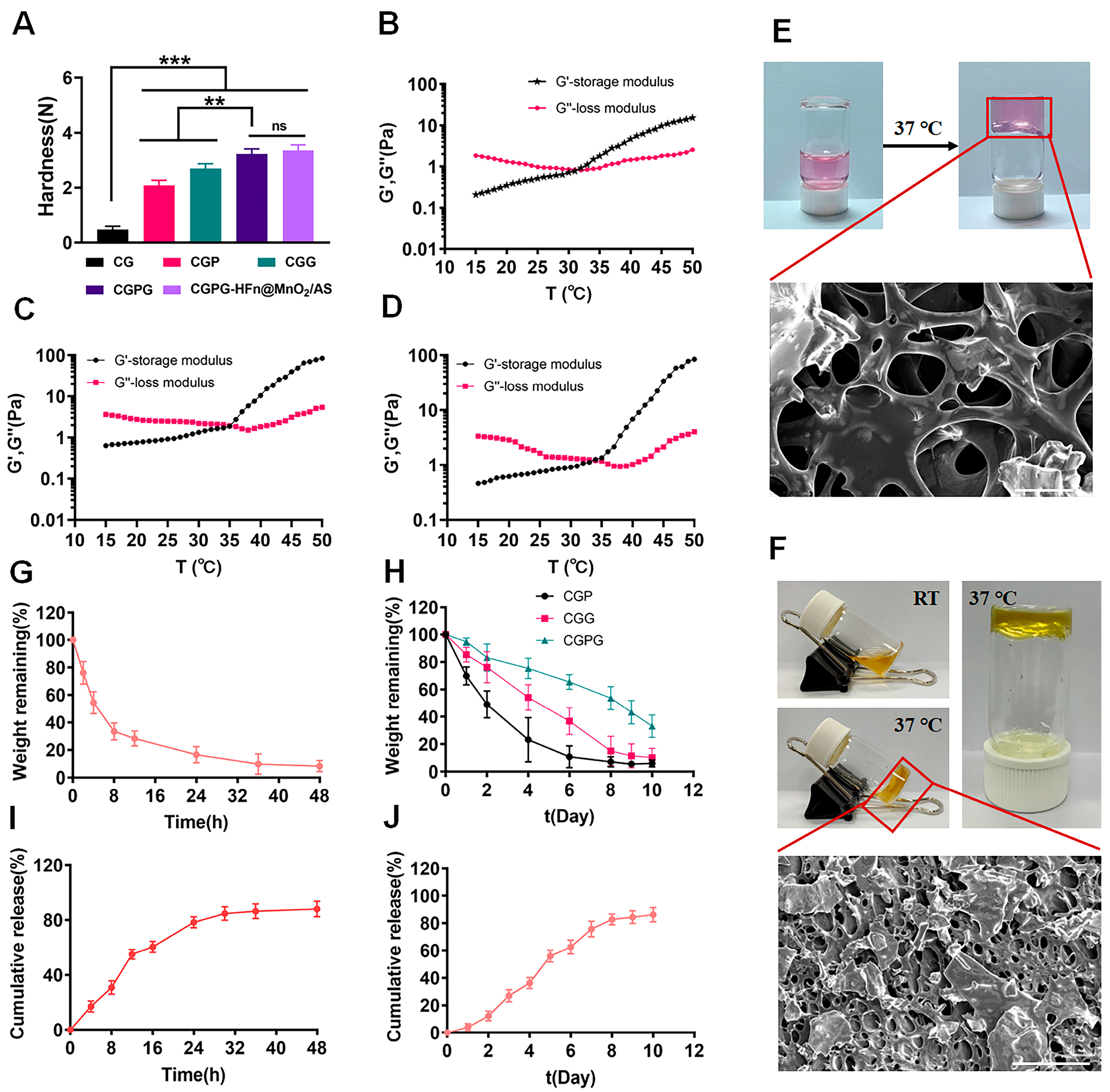 Pharmaceutics 16 01057 g002