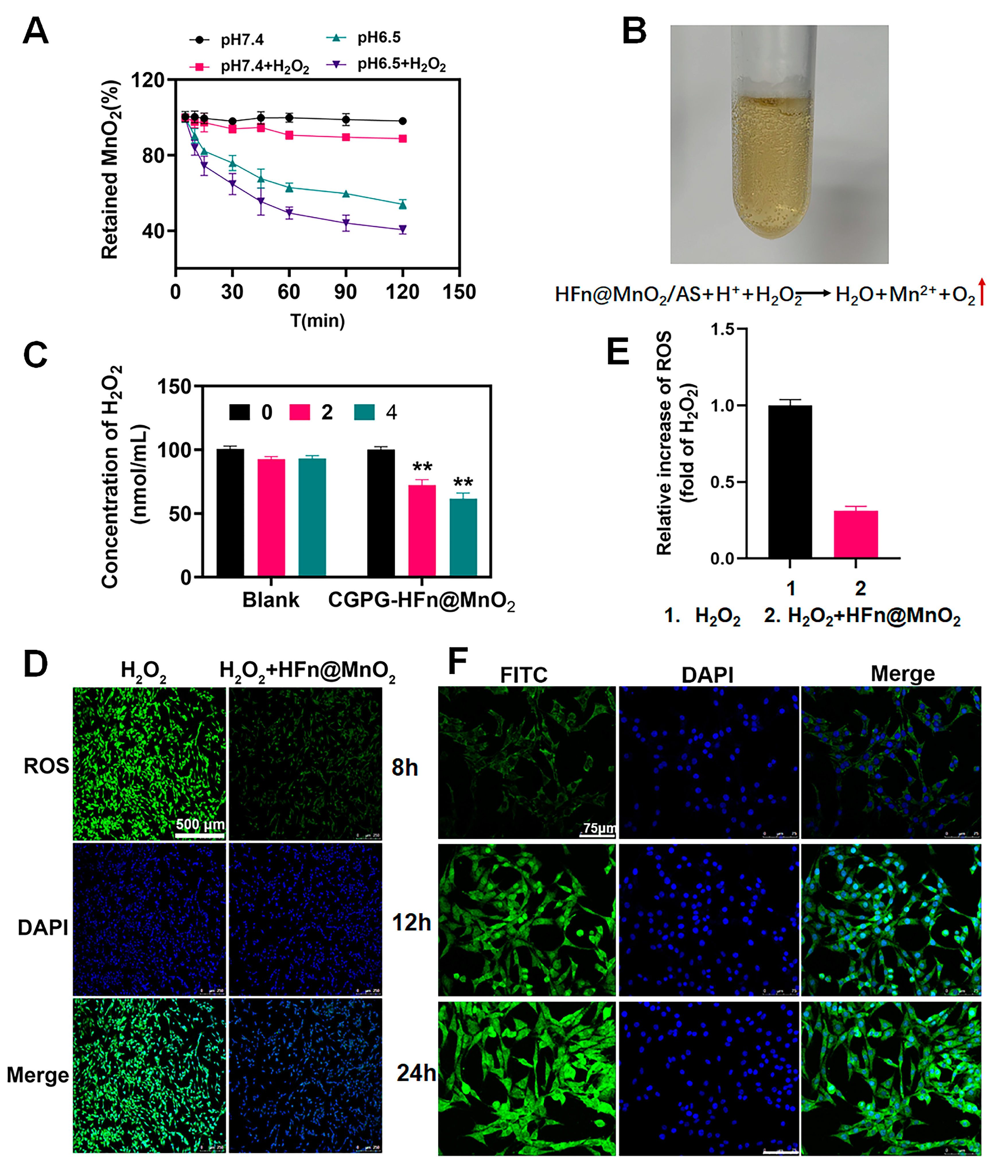 Pharmaceutics 16 01057 g003