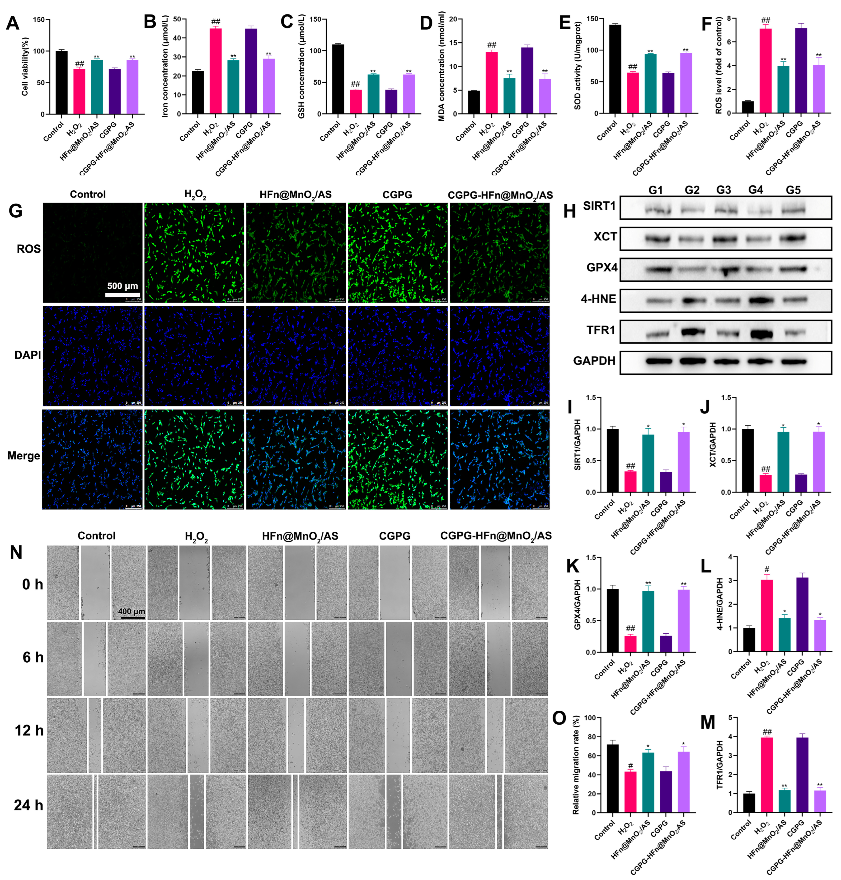 Pharmaceutics 16 01057 g004
