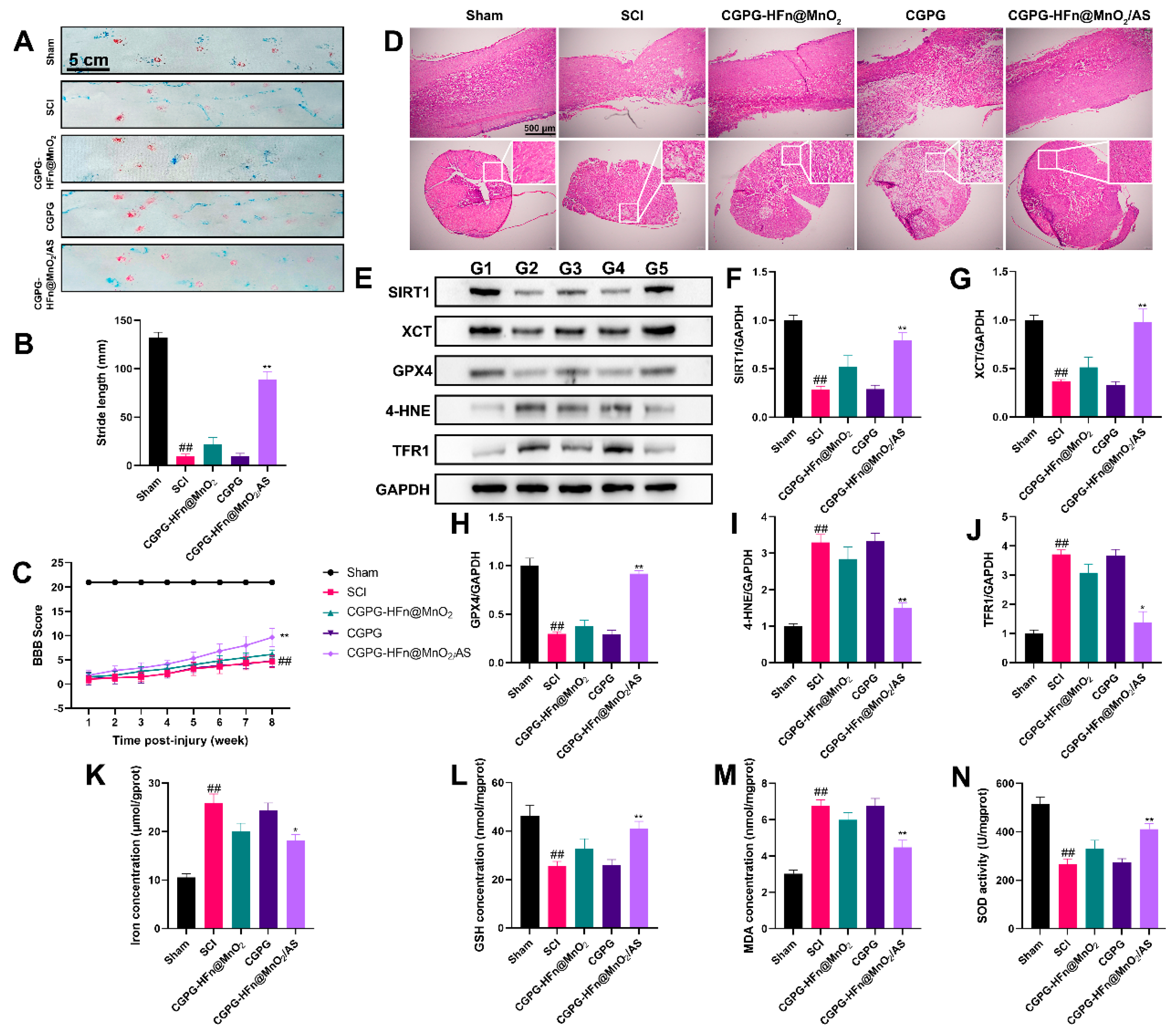 Pharmaceutics 16 01057 g005