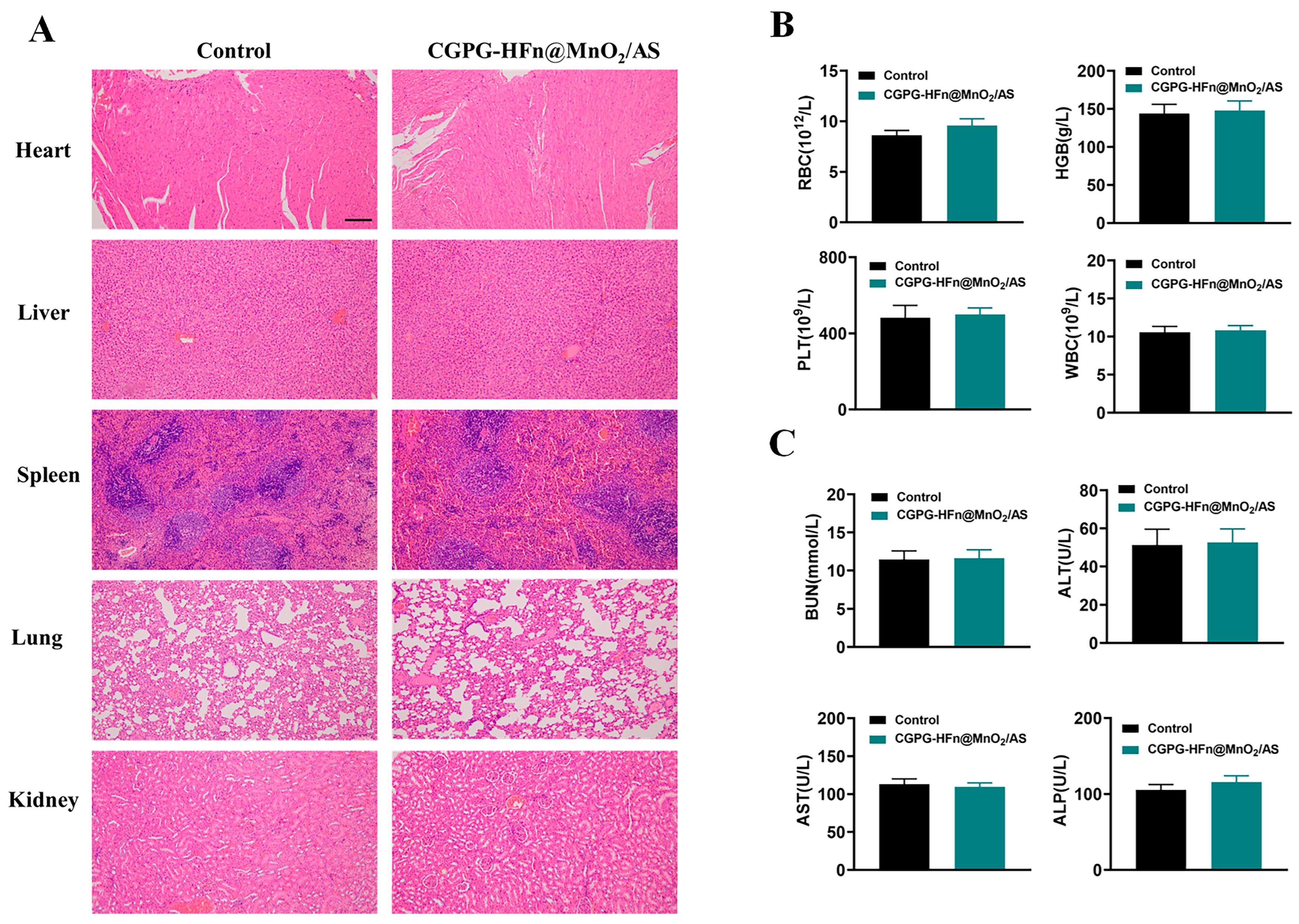 Pharmaceutics 16 01057 g006