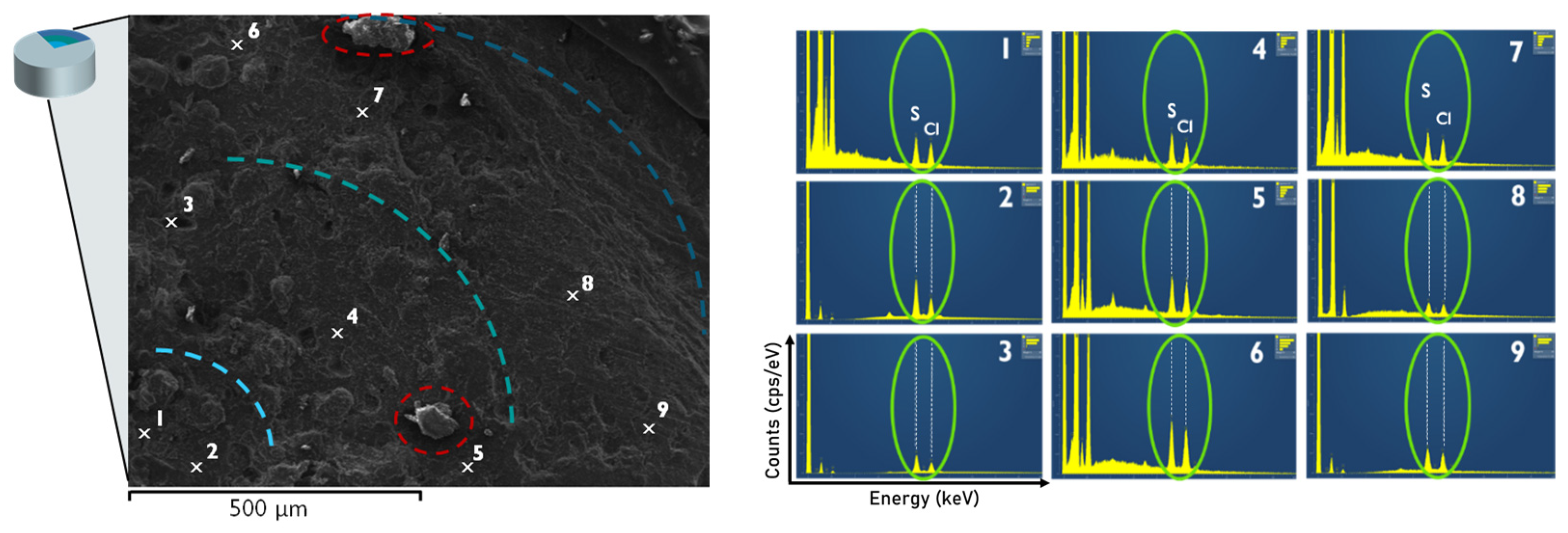 Pharmaceutics 16 01071 g007