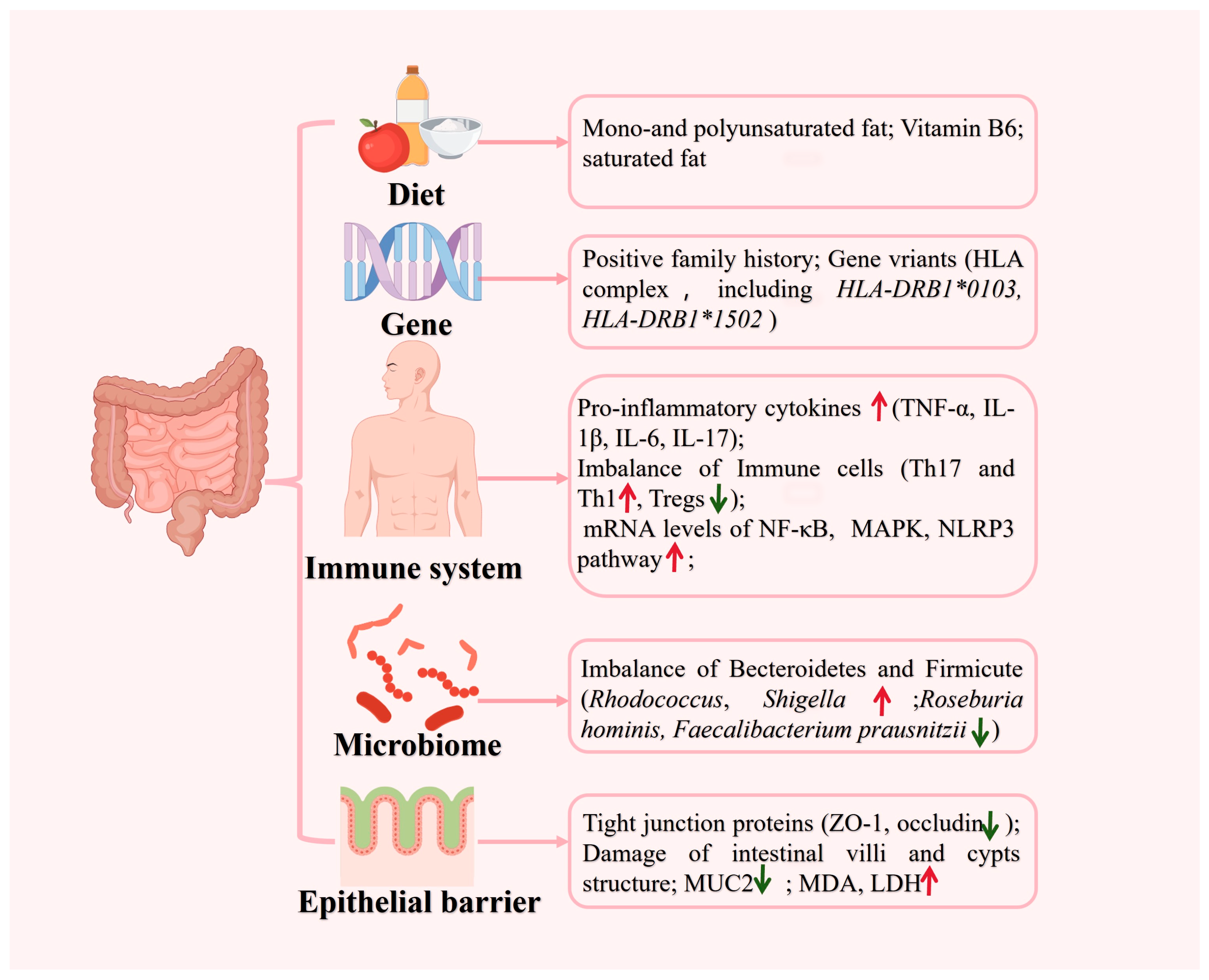 Pharmaceutics 16 01073 g001