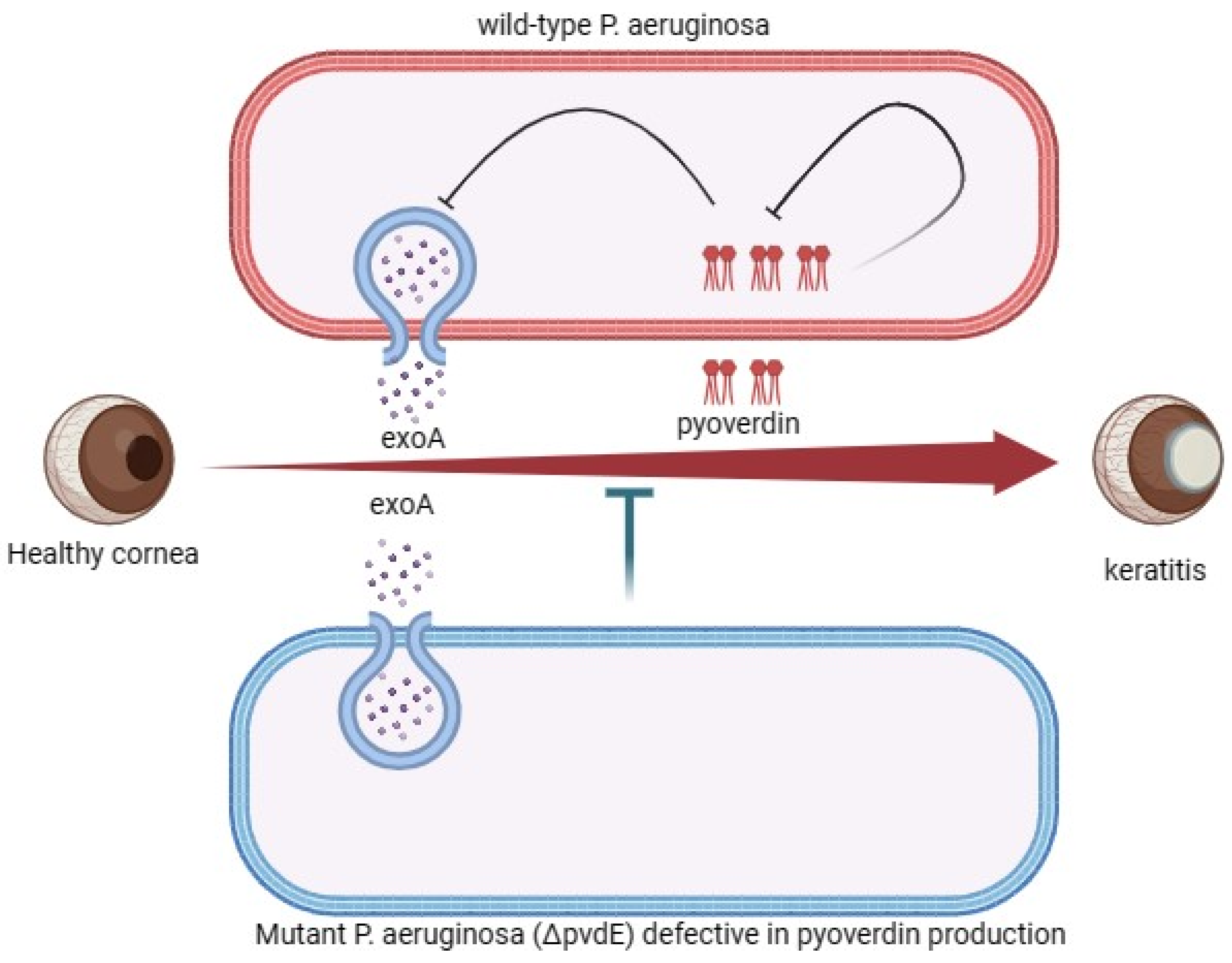 Pharmaceutics 16 01074 g003