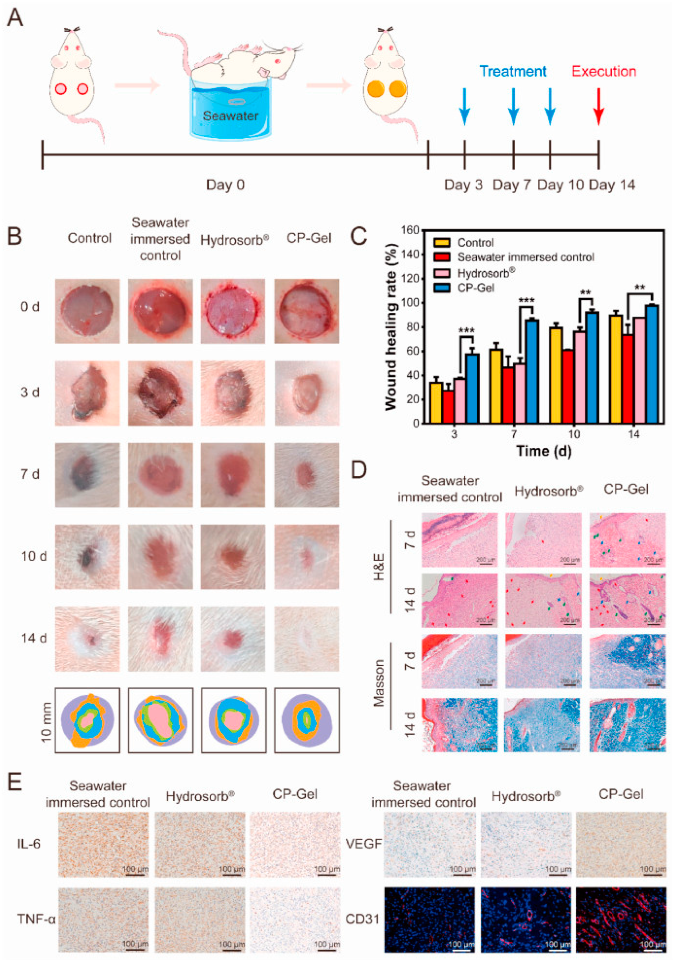Pharmaceutics 16 01076 g003