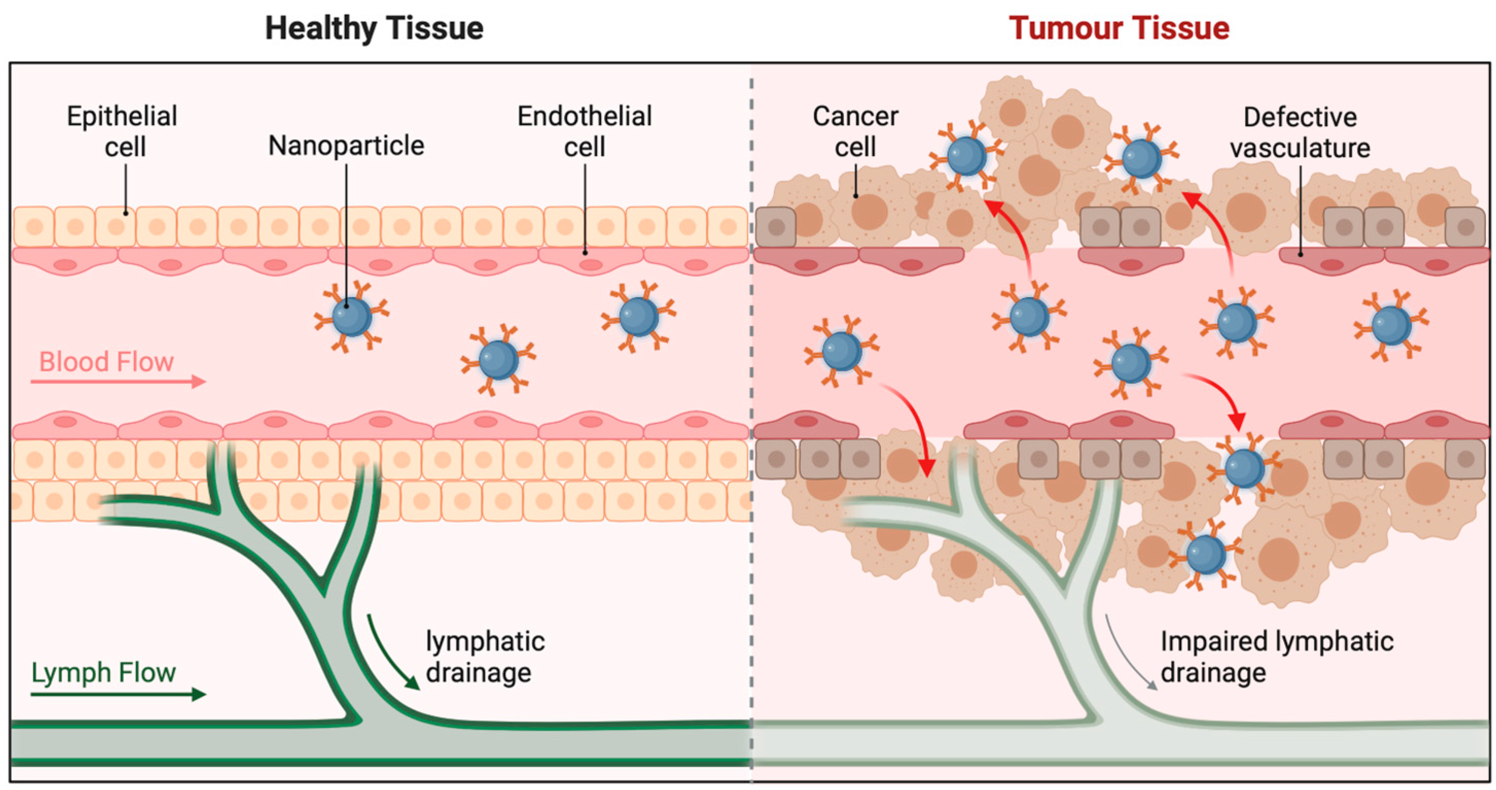 Pharmaceutics 16 01076 g004