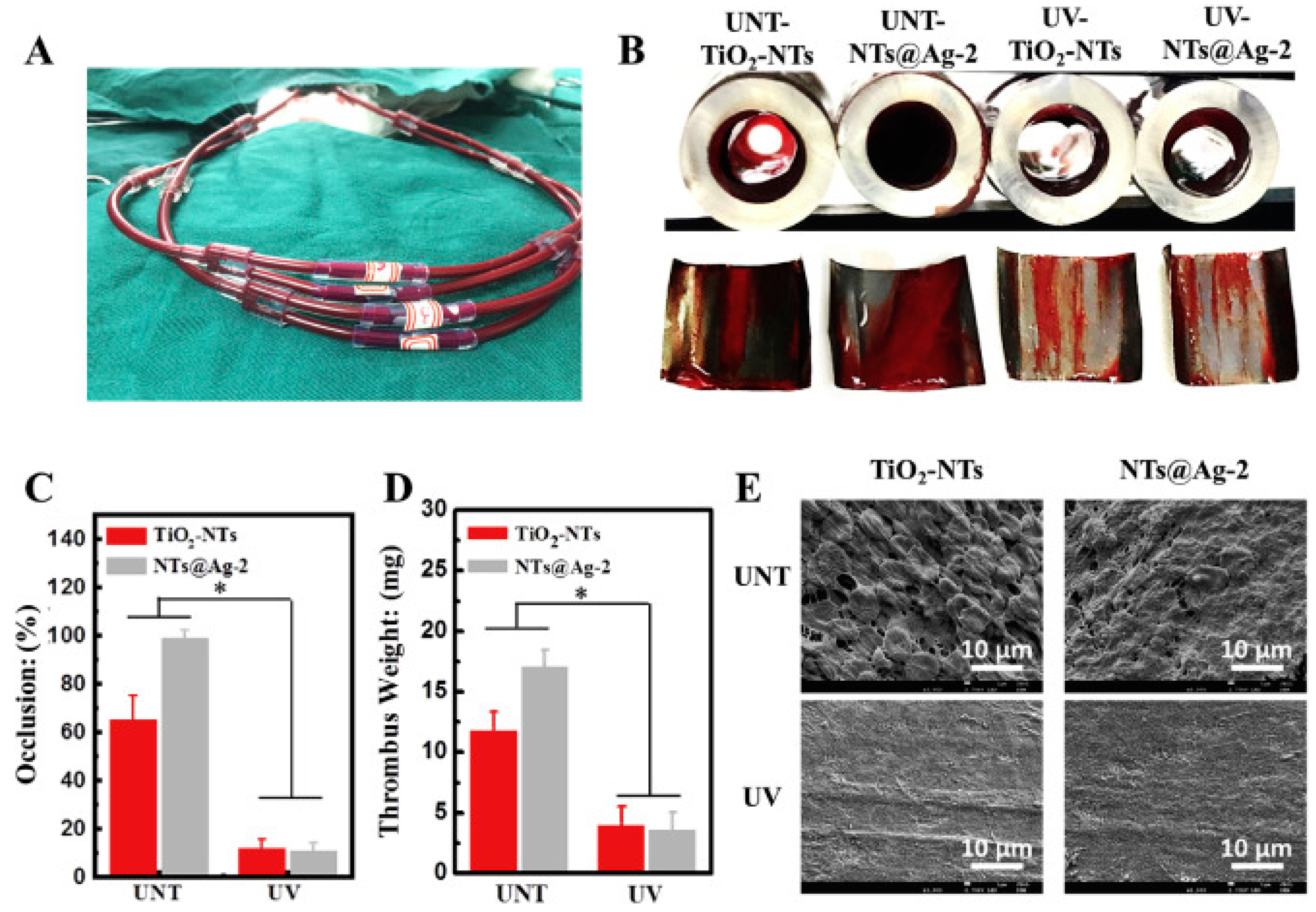 Pharmaceutics 16 01076 g005