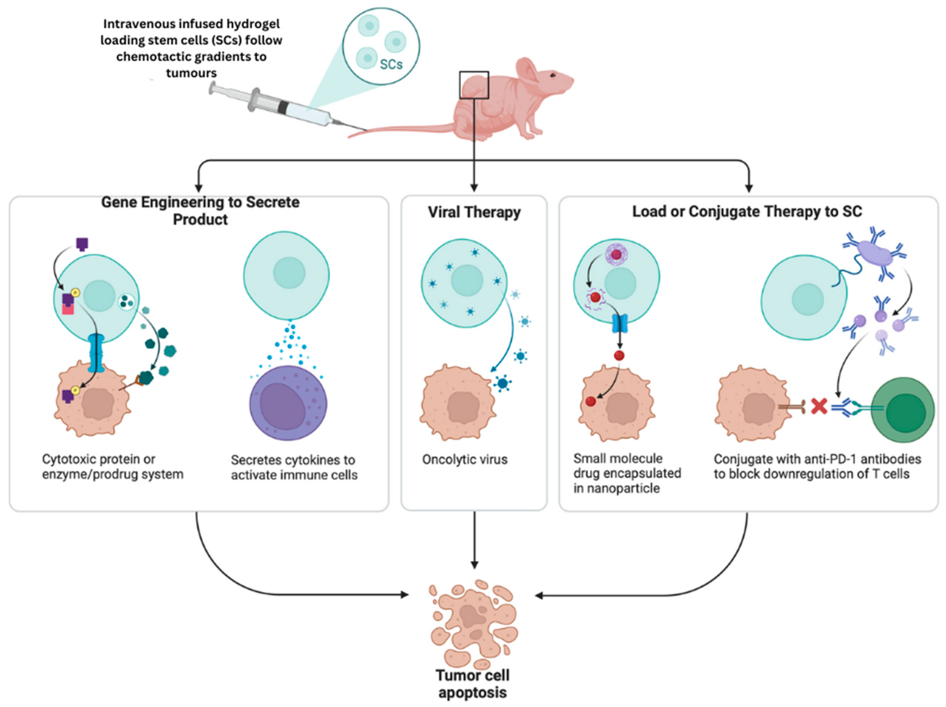 Pharmaceutics 16 01076 g008