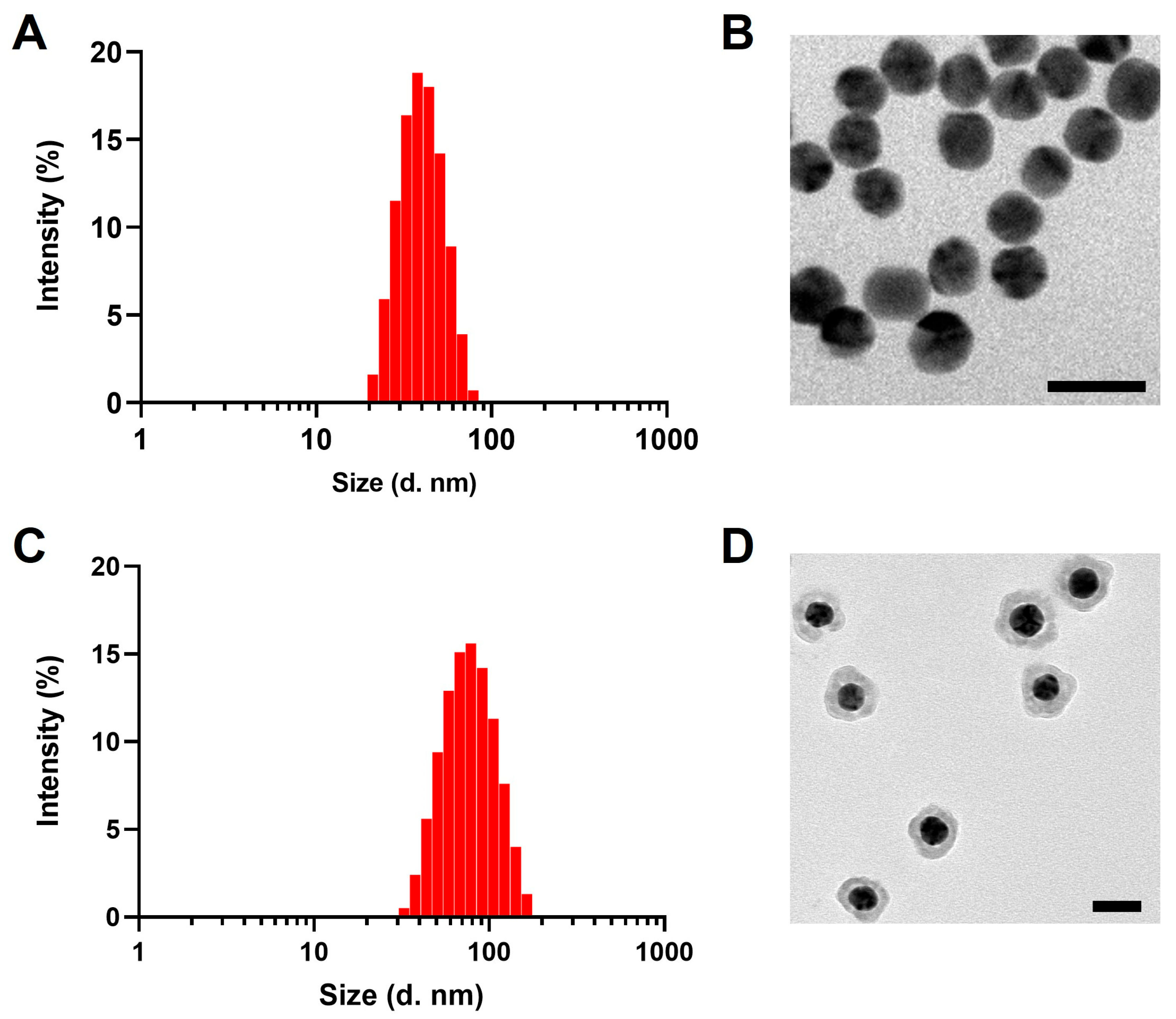 Pharmaceutics 16 01089 g001