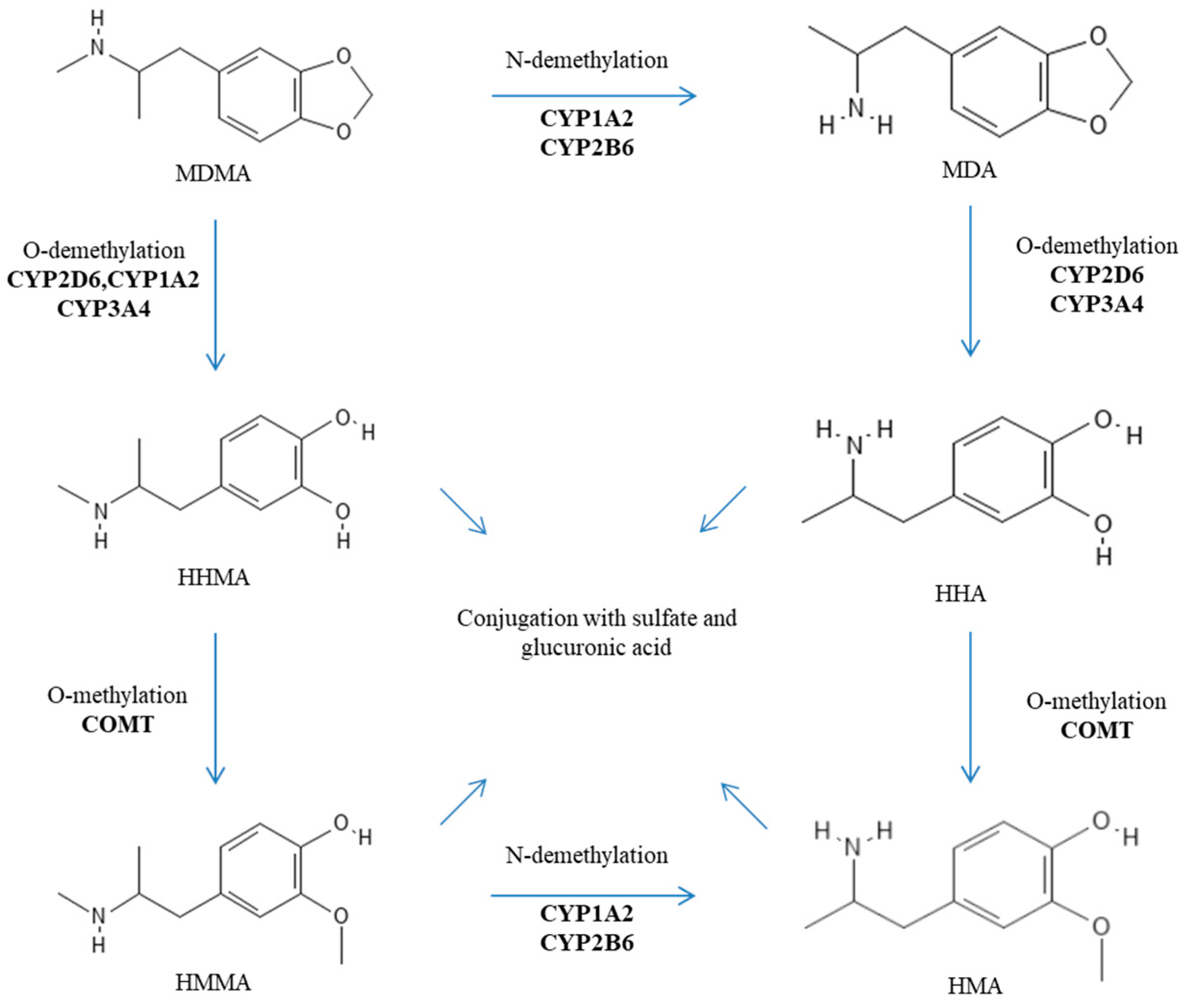 Pharmaceutics 16 01091 g002 Pharmaceutics 16 01091 g002