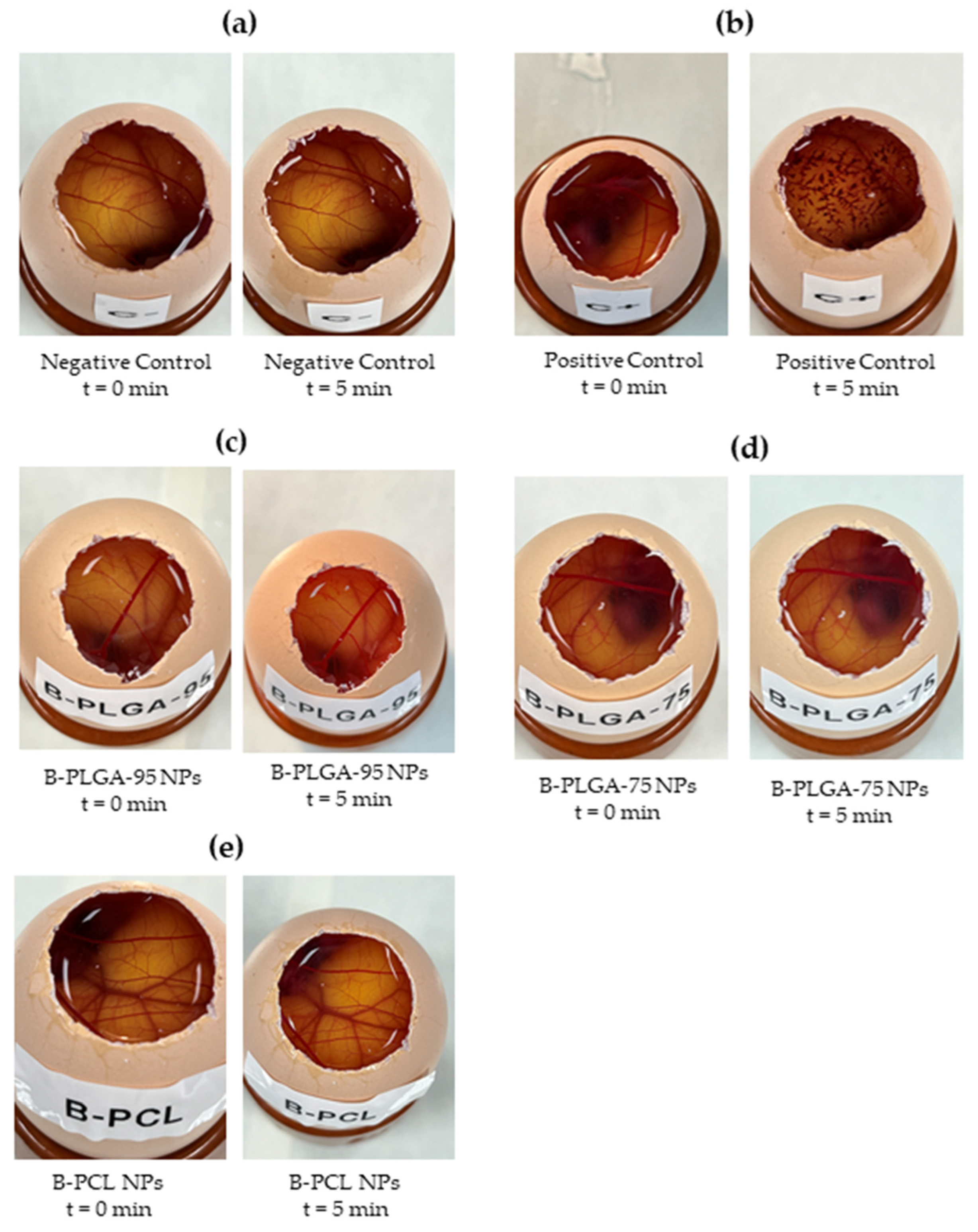 Pharmaceutics 16 01092 g008