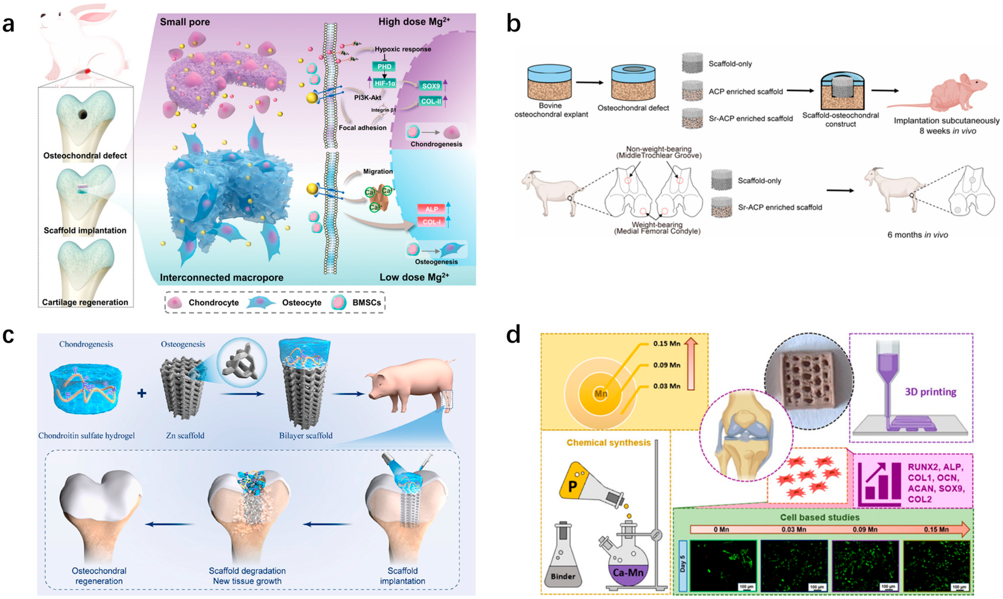 Pharmaceutics 16 01095 g006