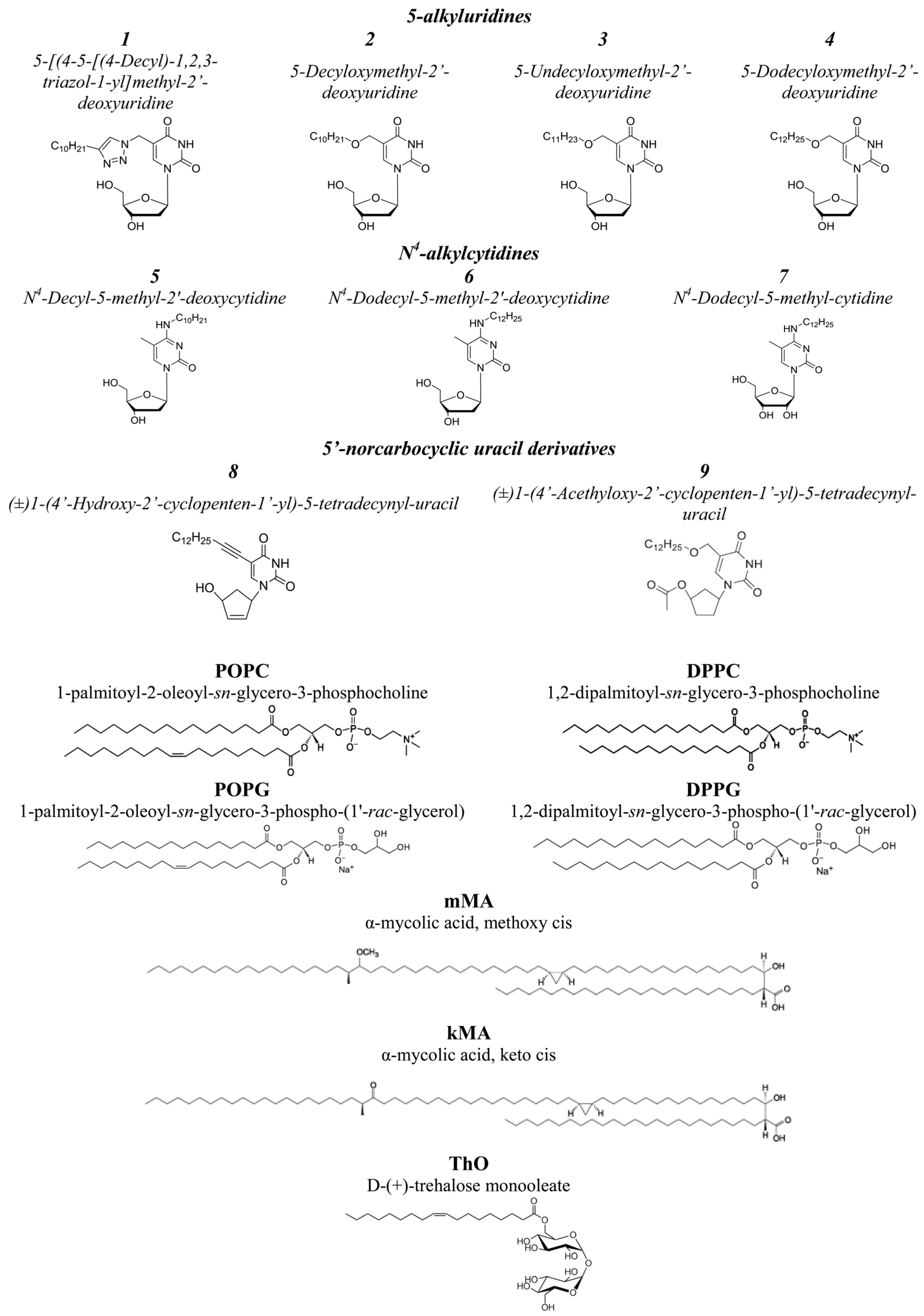 Pharmaceutics 16 01110 g001