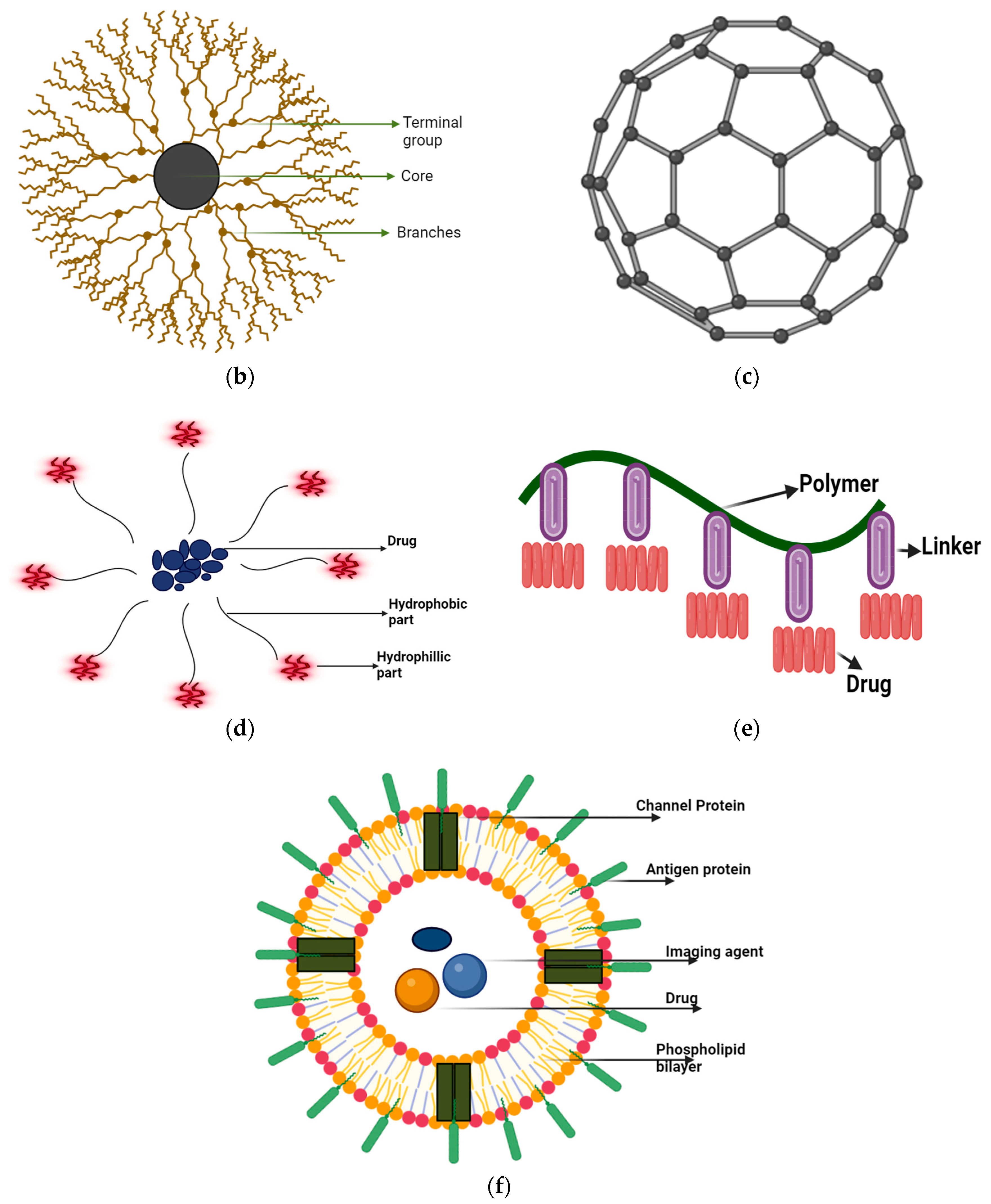 Pharmaceutics 16 01114 g004b