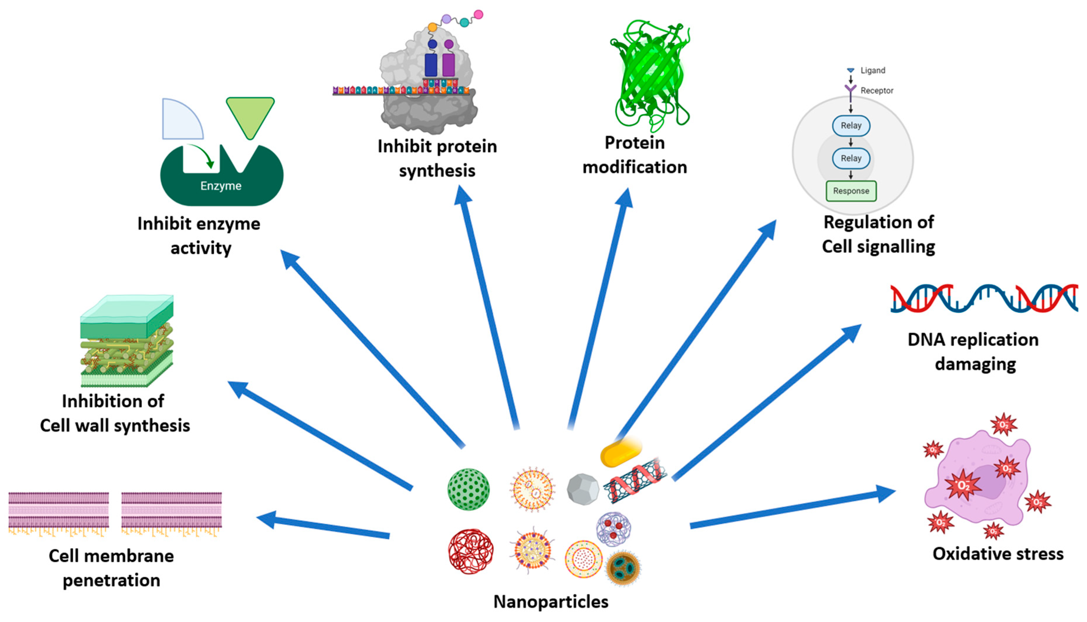 Pharmaceutics 16 01114 g005