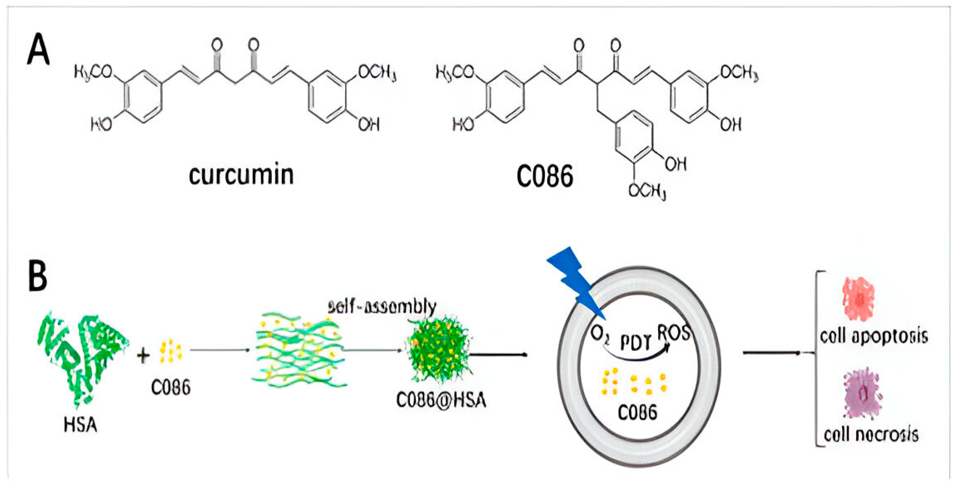Pharmaceutics 16 01120 g003