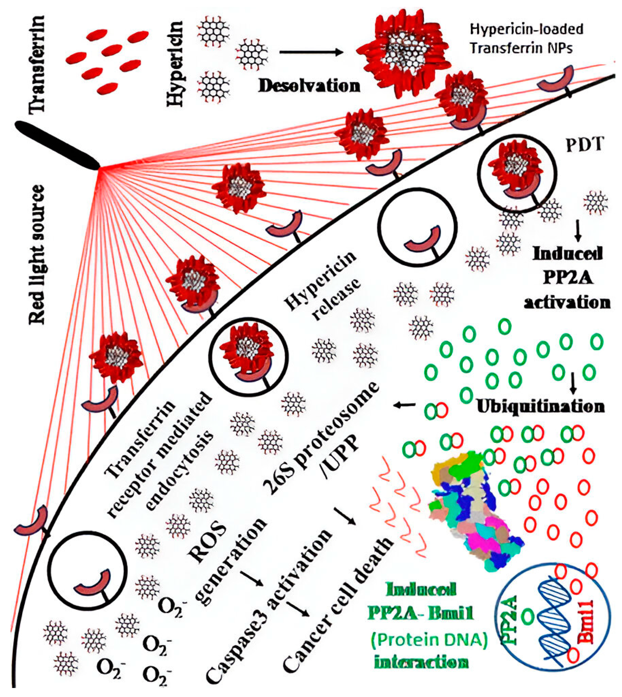 Pharmaceutics 16 01120 g008