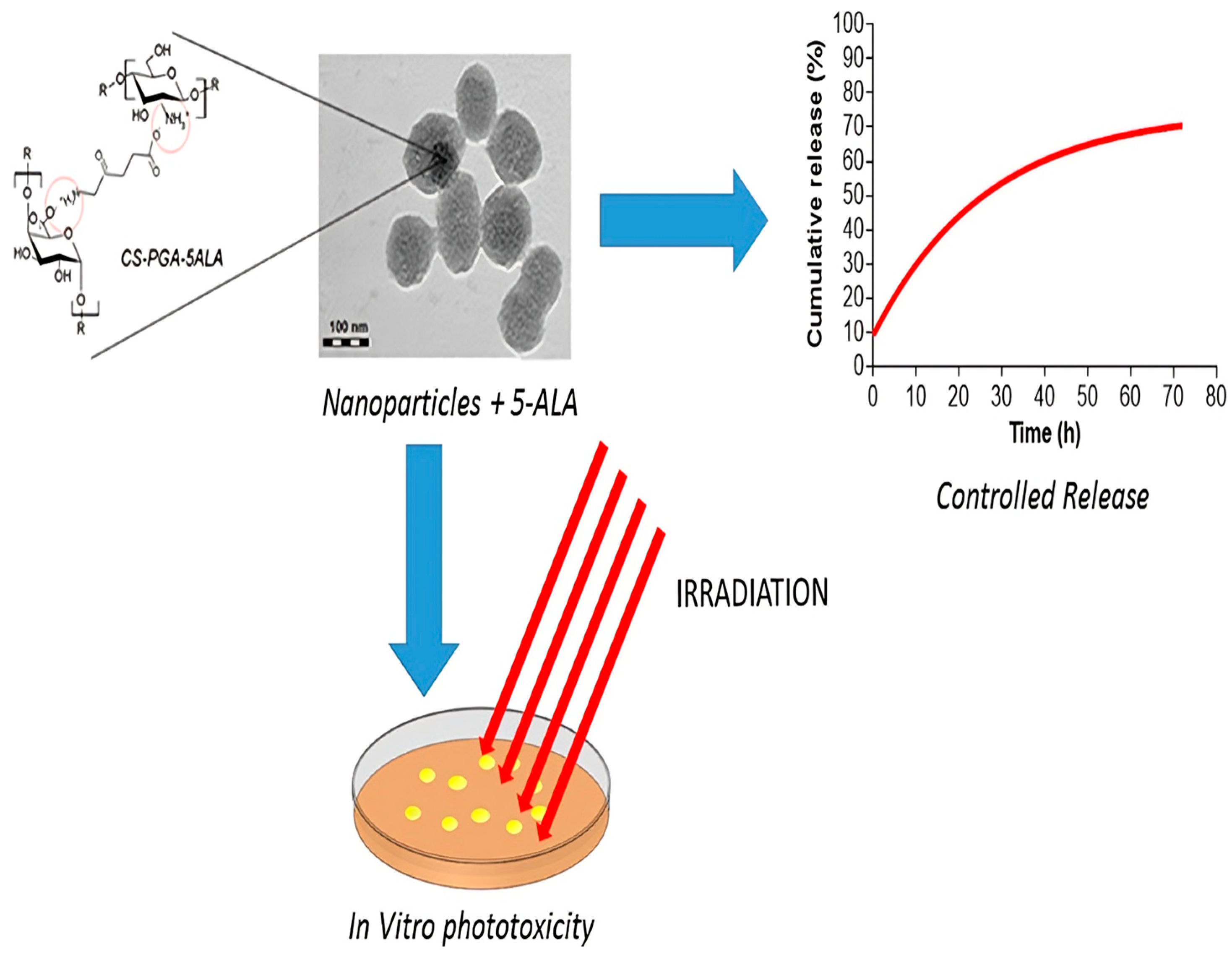 Pharmaceutics 16 01120 g009