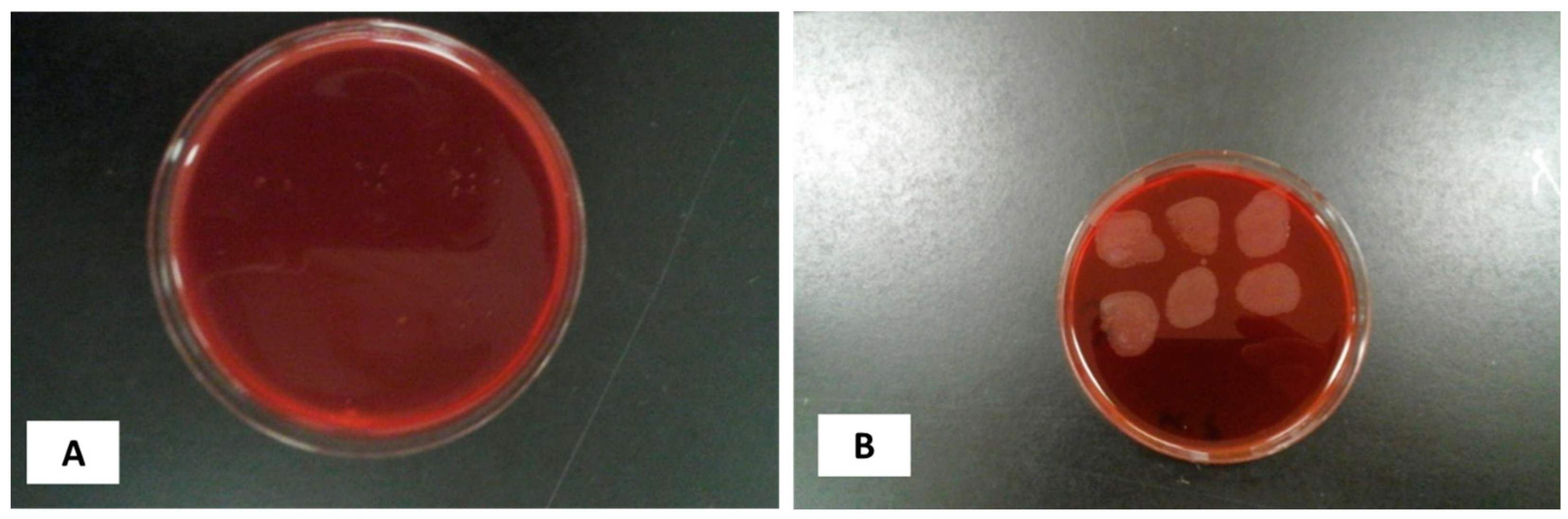 Pharmaceutics 16 01123 g001