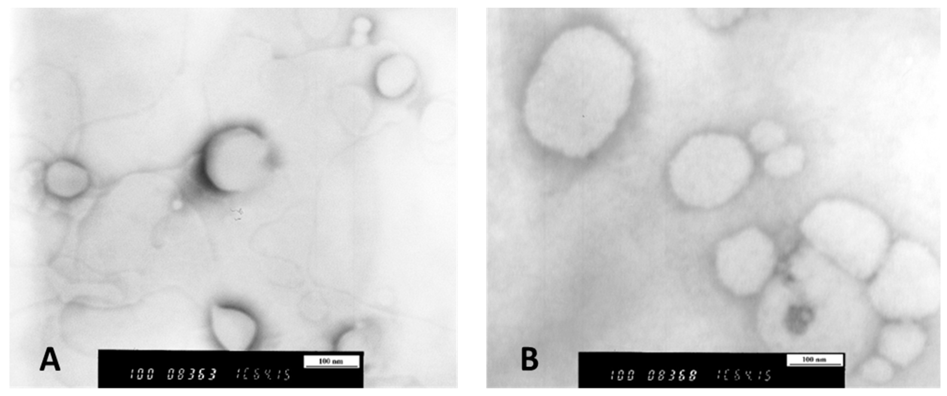 Pharmaceutics 16 01123 g002