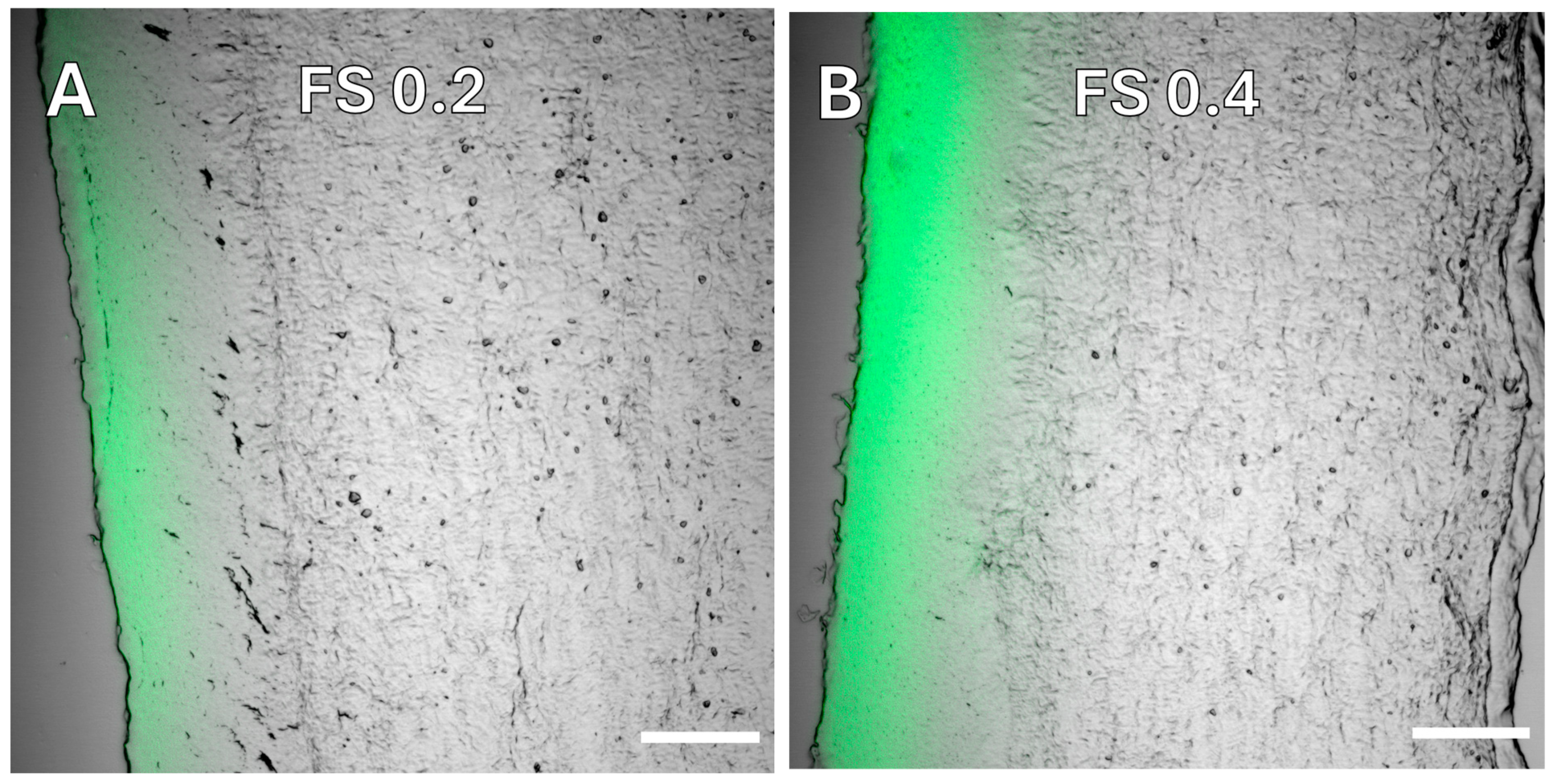 Pharmaceutics 16 01126 g002