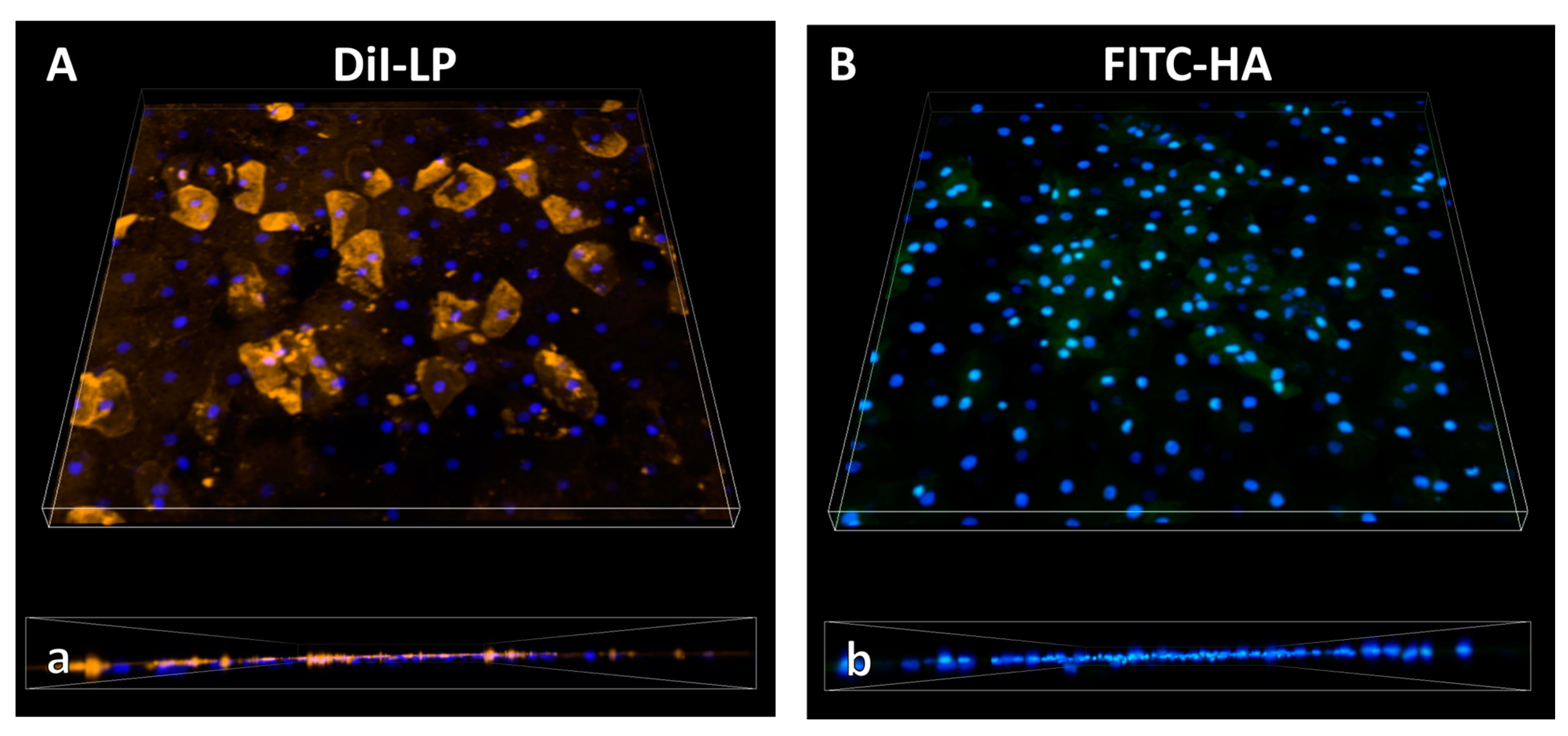 Pharmaceutics 16 01126 g005