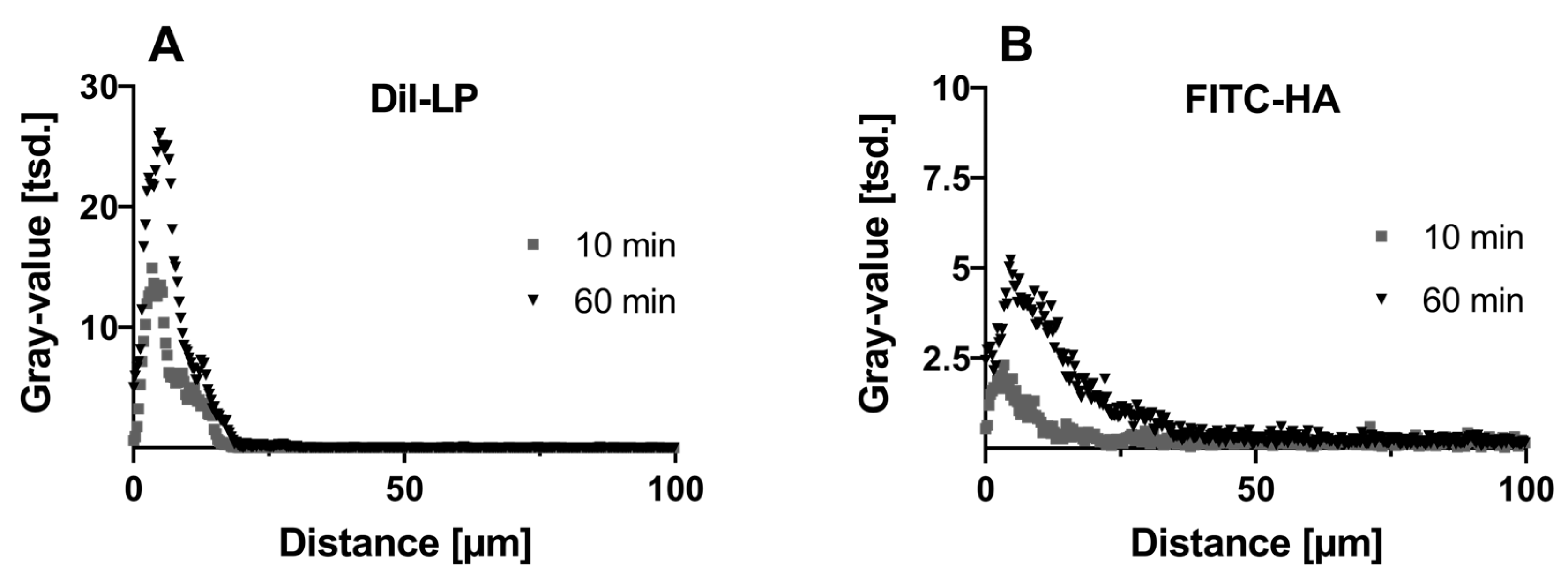 Pharmaceutics 16 01126 g006