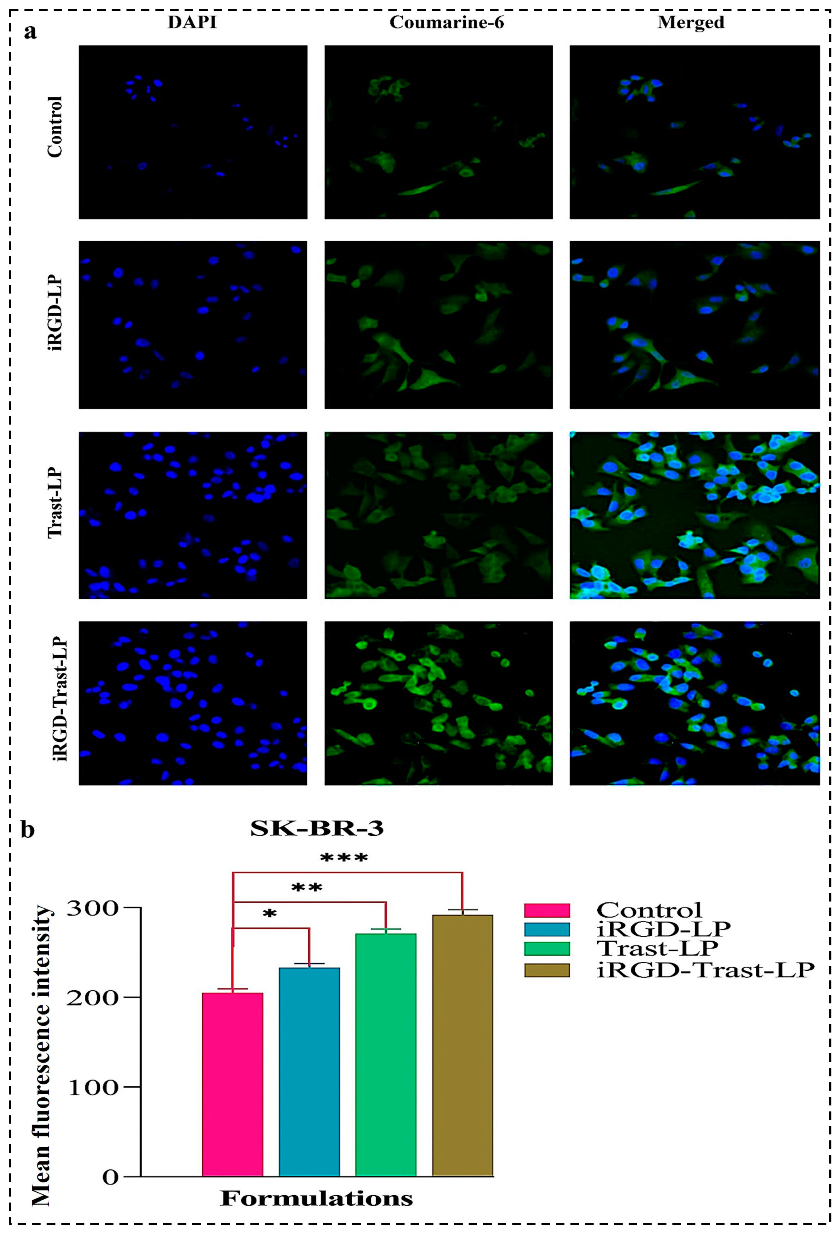 Pharmaceutics 16 01128 g010