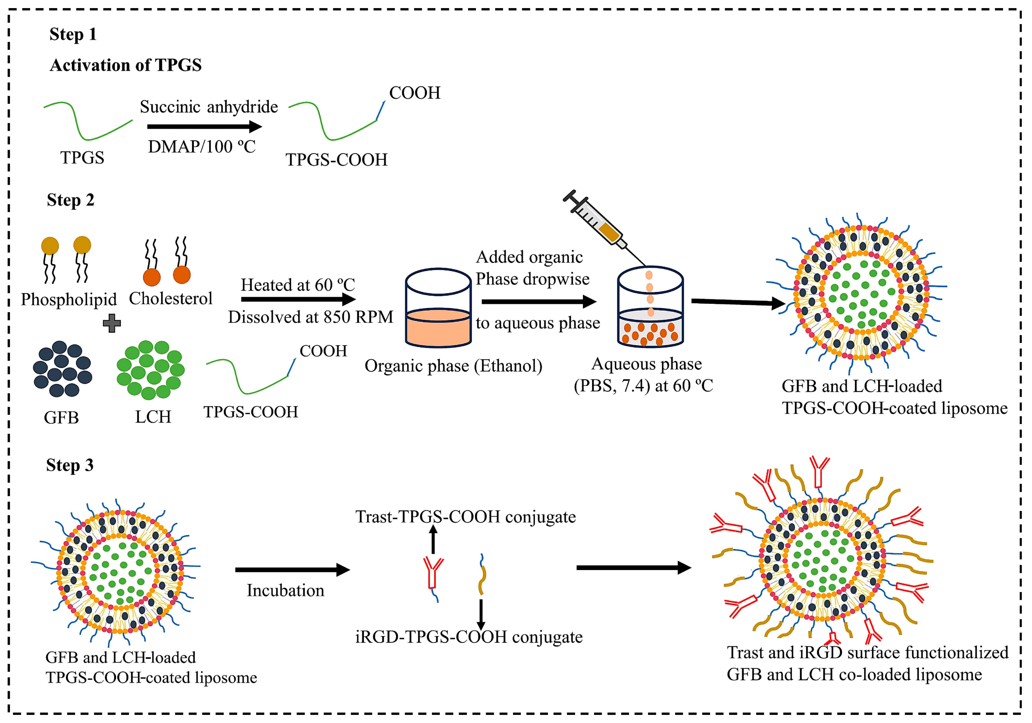 Pharmaceutics 16 01128 sch001